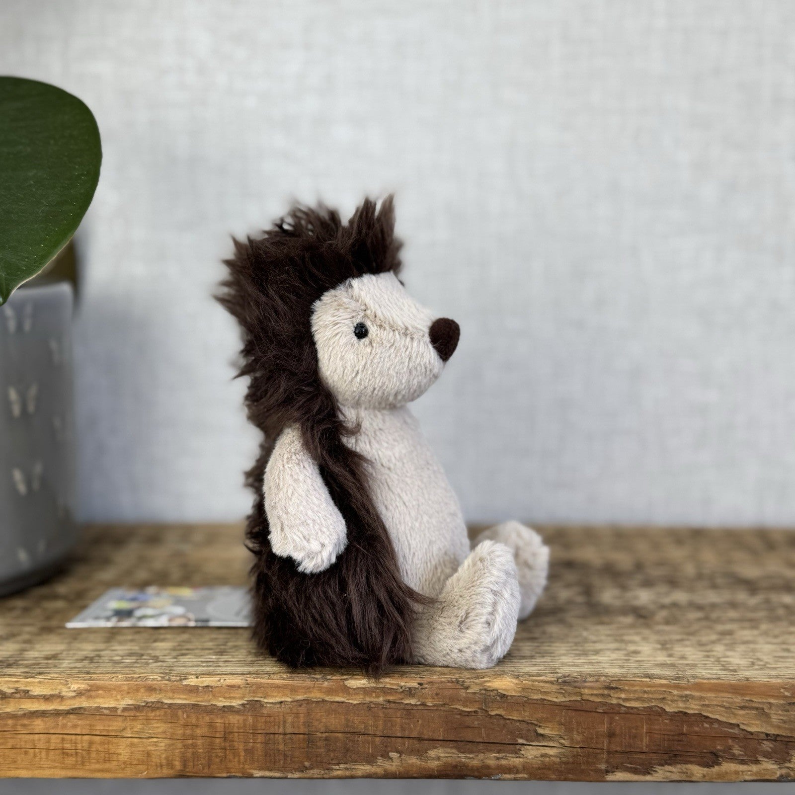 Jellycat Small Bashful Hedgehog - First Release Smaller Hedgehog 7" Rare