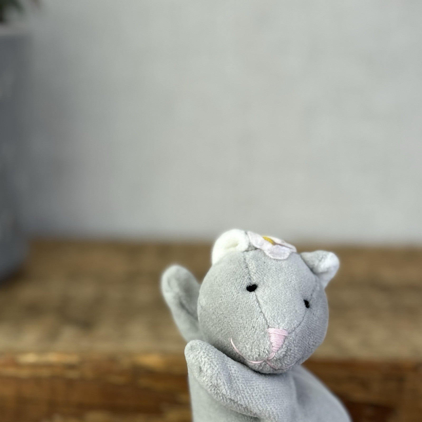 Monsoon Flower Flopsy Kitten (Jellycat Collaboration) Mini Cat Beanbag Plush 5”