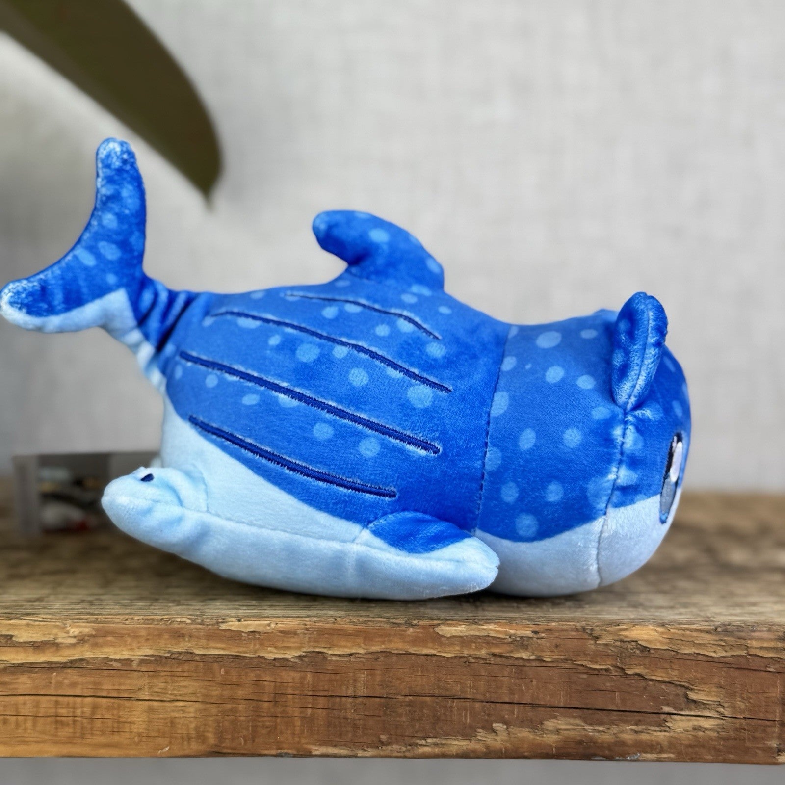 Aphmau MeeMeows - Sealife Litter Plush Whale Cat Blue Kawaii Cute 6"