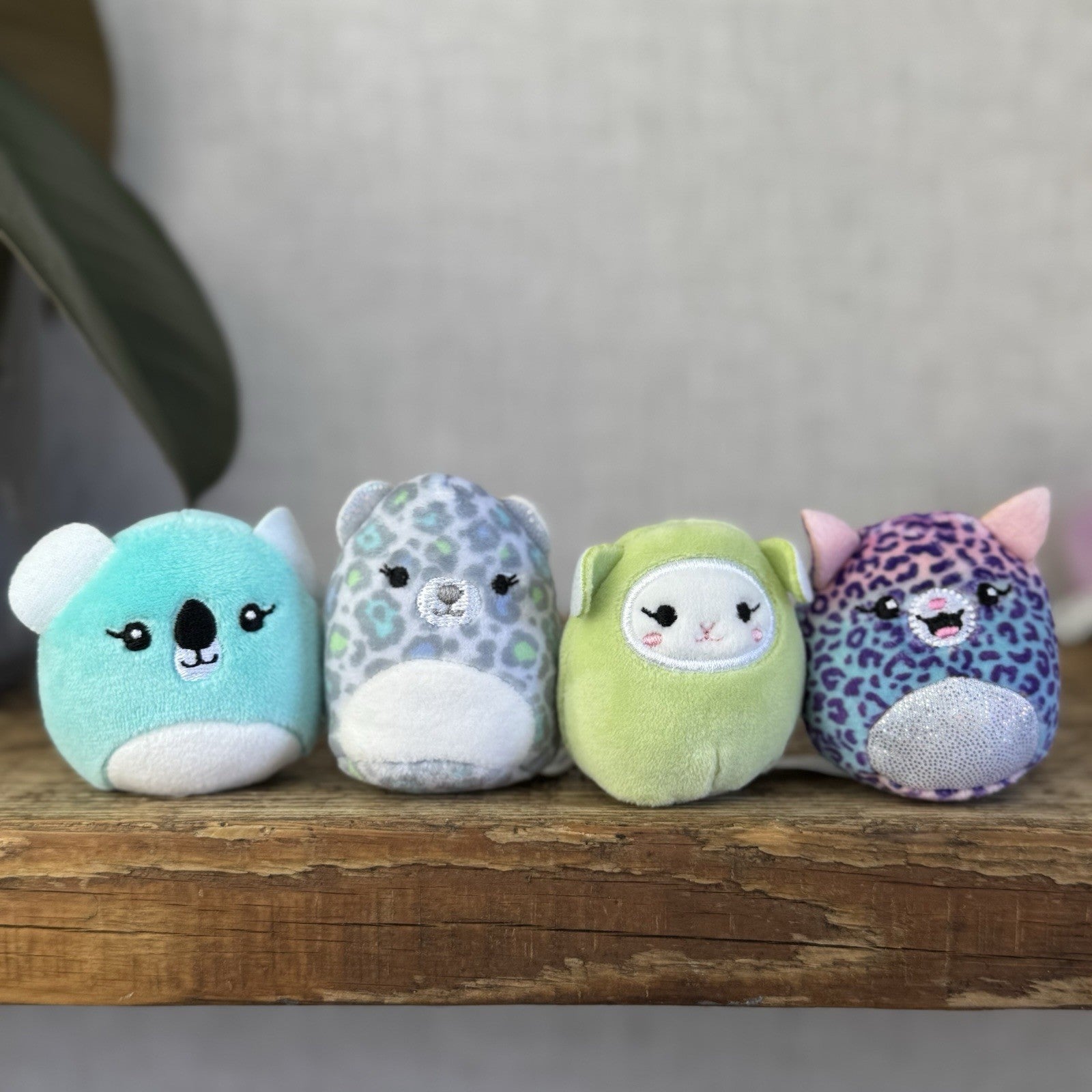 Squishmallow Squishville Bundle x12 - Mixed Bundle Tiny Squishmallow 2" Bright