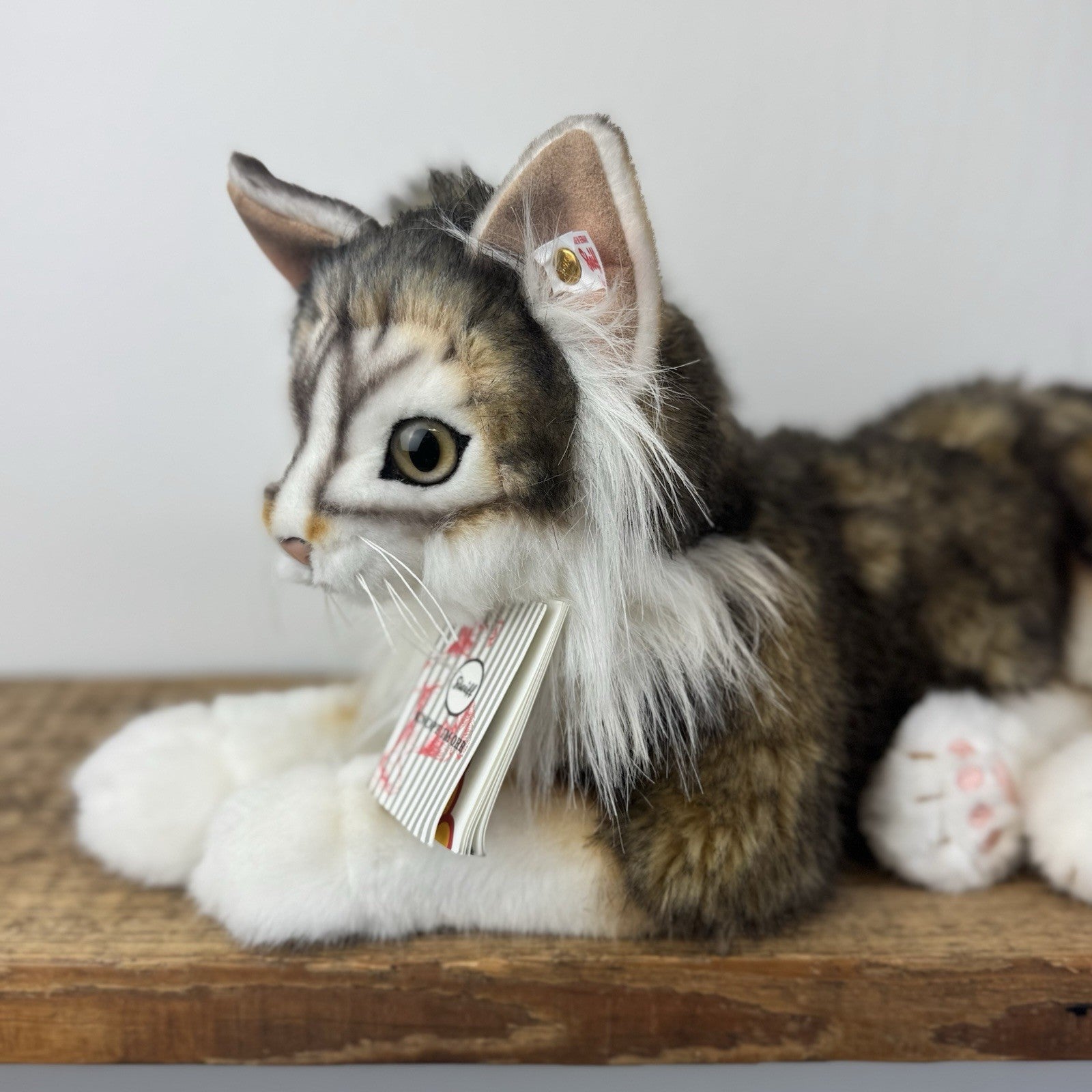 Steiff - Lesley Anne Ivory's Agneatha Cat Limited Edition RARE (EAN 690716) 2019