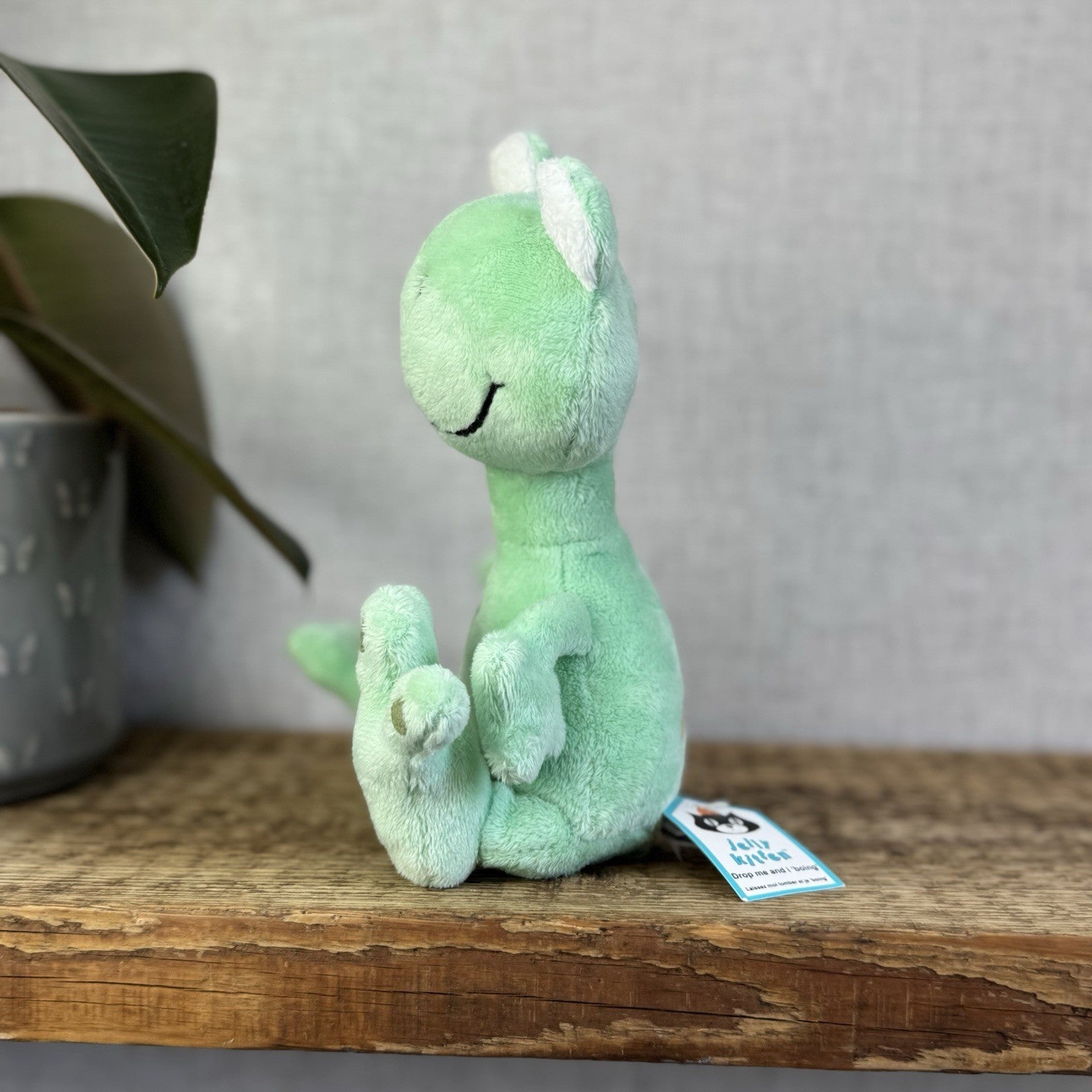 Jellykitten Bing Bong Frog - Soft Toy Frog Vintage Retired With Tags Small 10”