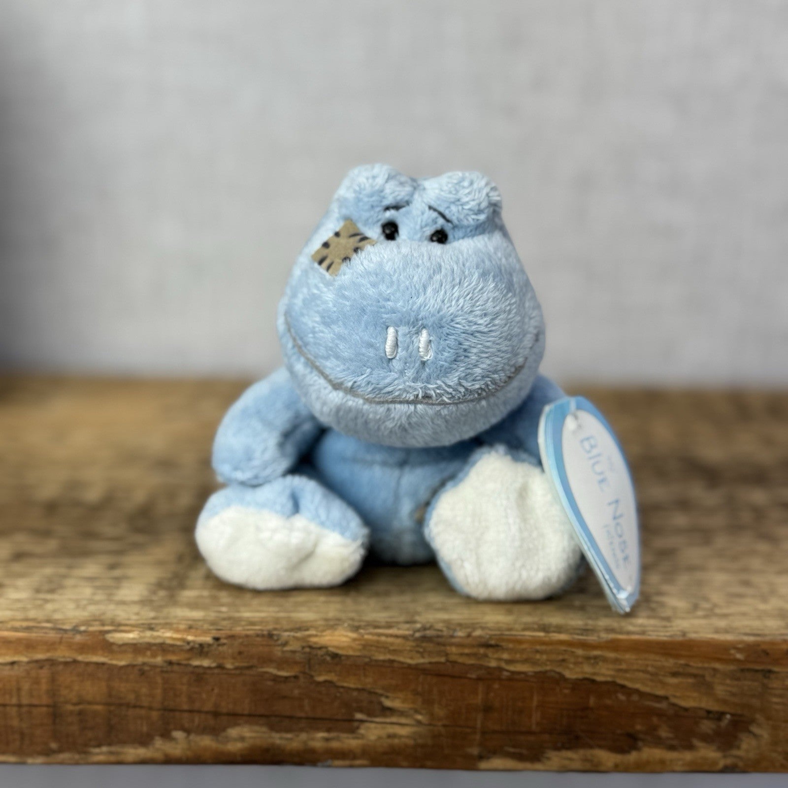 Blue Nose Friends - Lily The Frog #37 Miniature Blue Frog Beanie Plush Tags