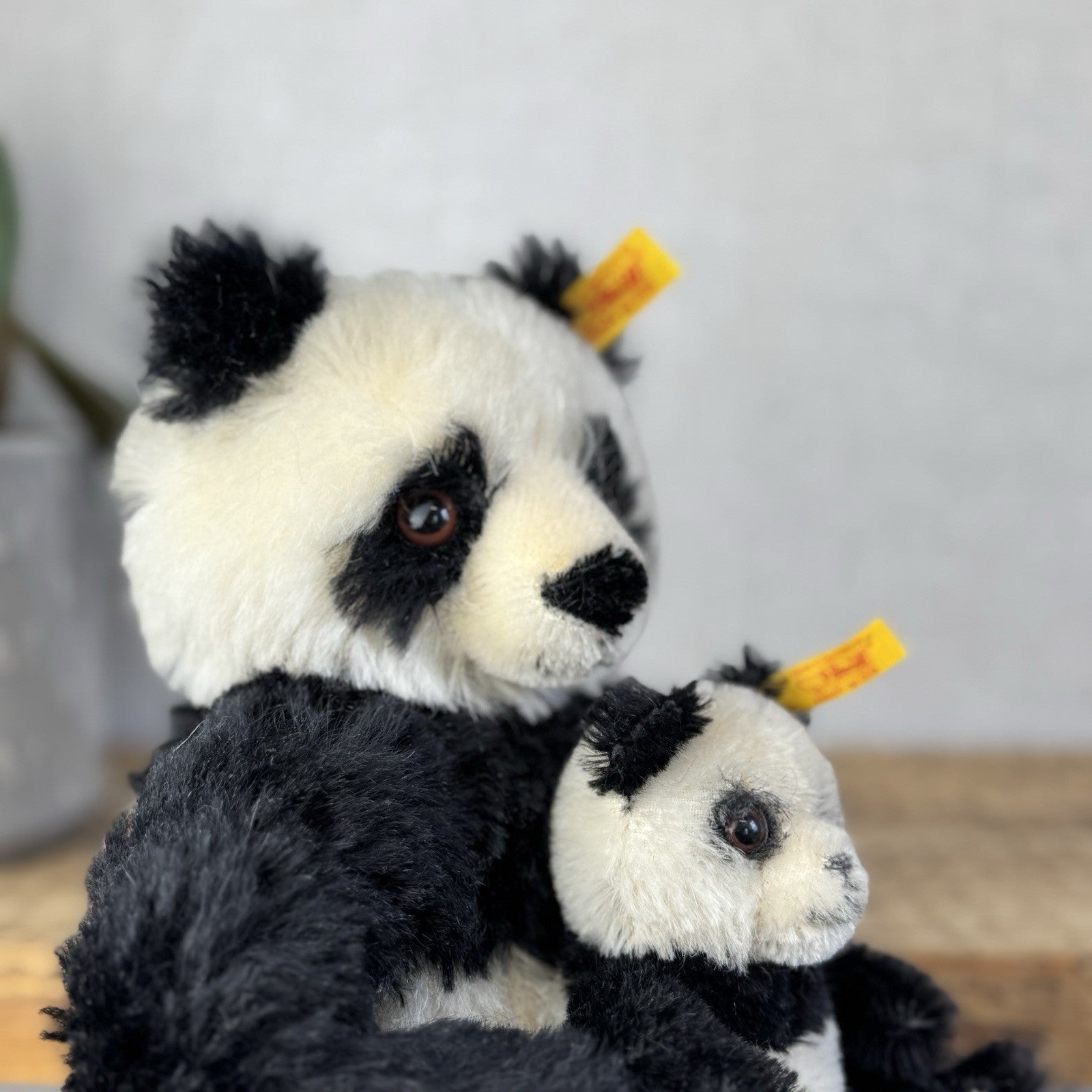 Steiff Vintage Panda Bear & Baby - Mohair Panda Rare Small 660818 Collector Item