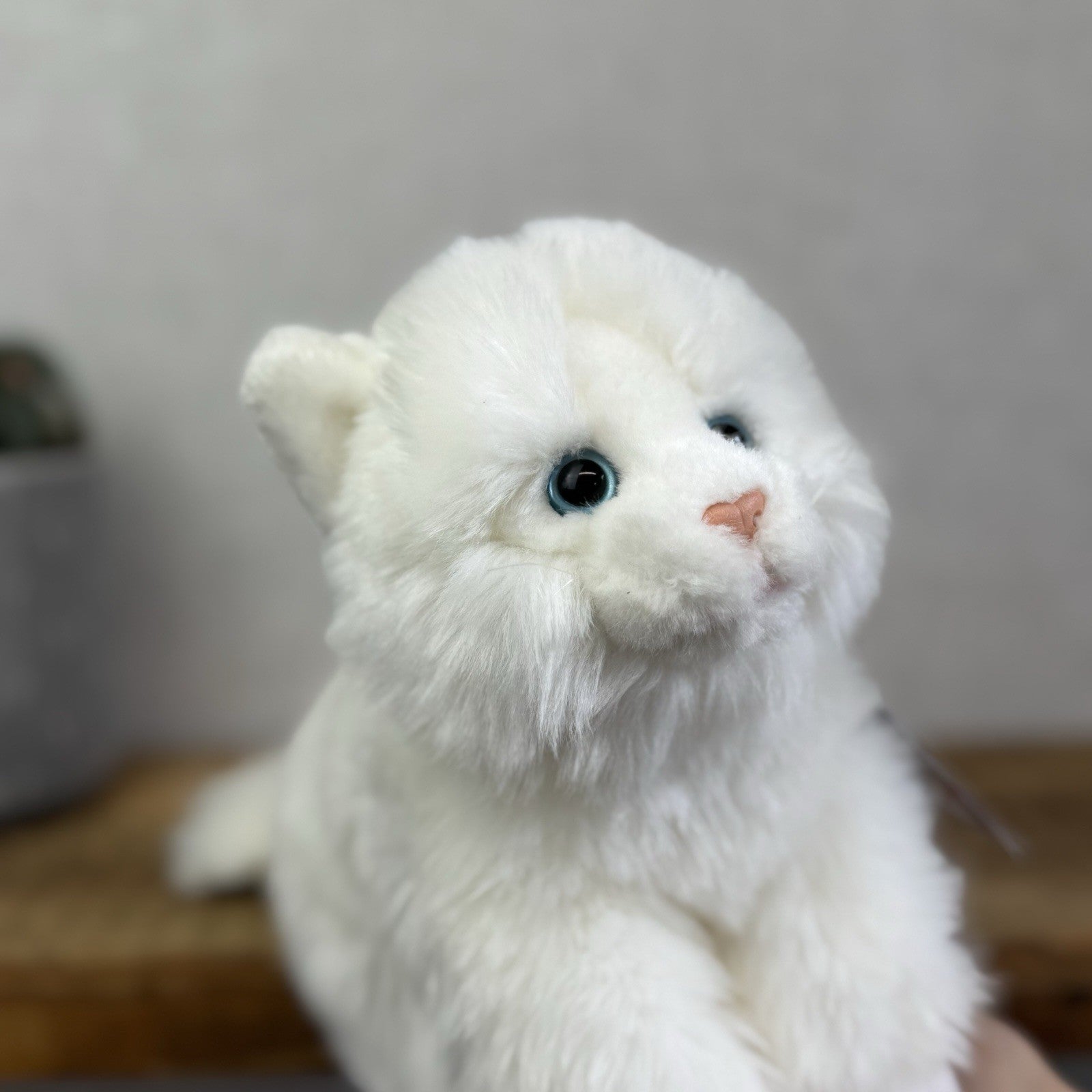 Animal Alley Realistic White Fluffy Cat - Fluffy Beanie Mini Cat Soft Toy 8"