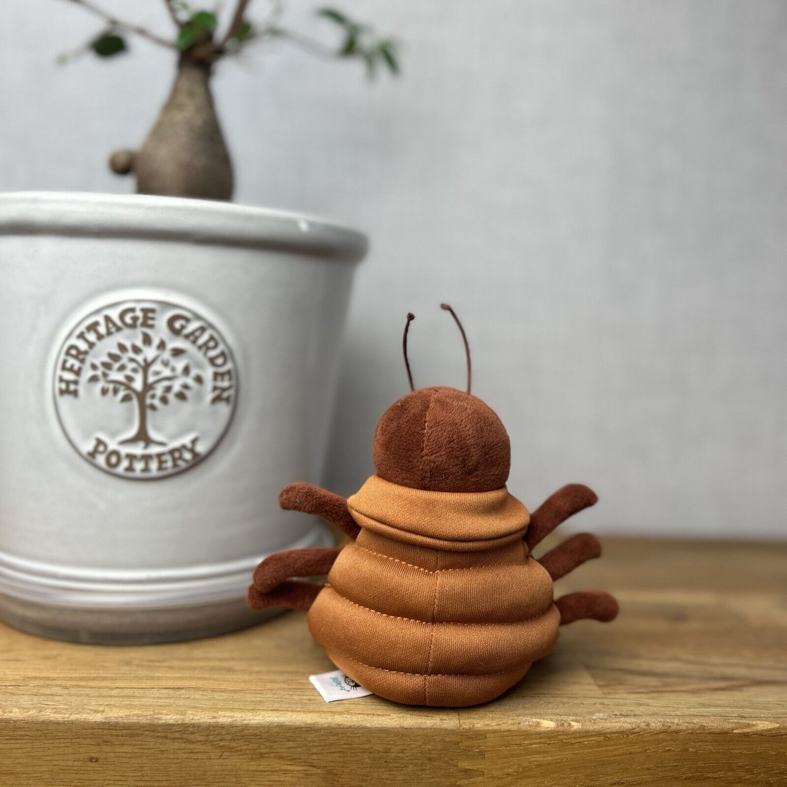Jellycat Anorachnid Spider - Spider In A Gillet - Spider Plush Pocket Pal Size