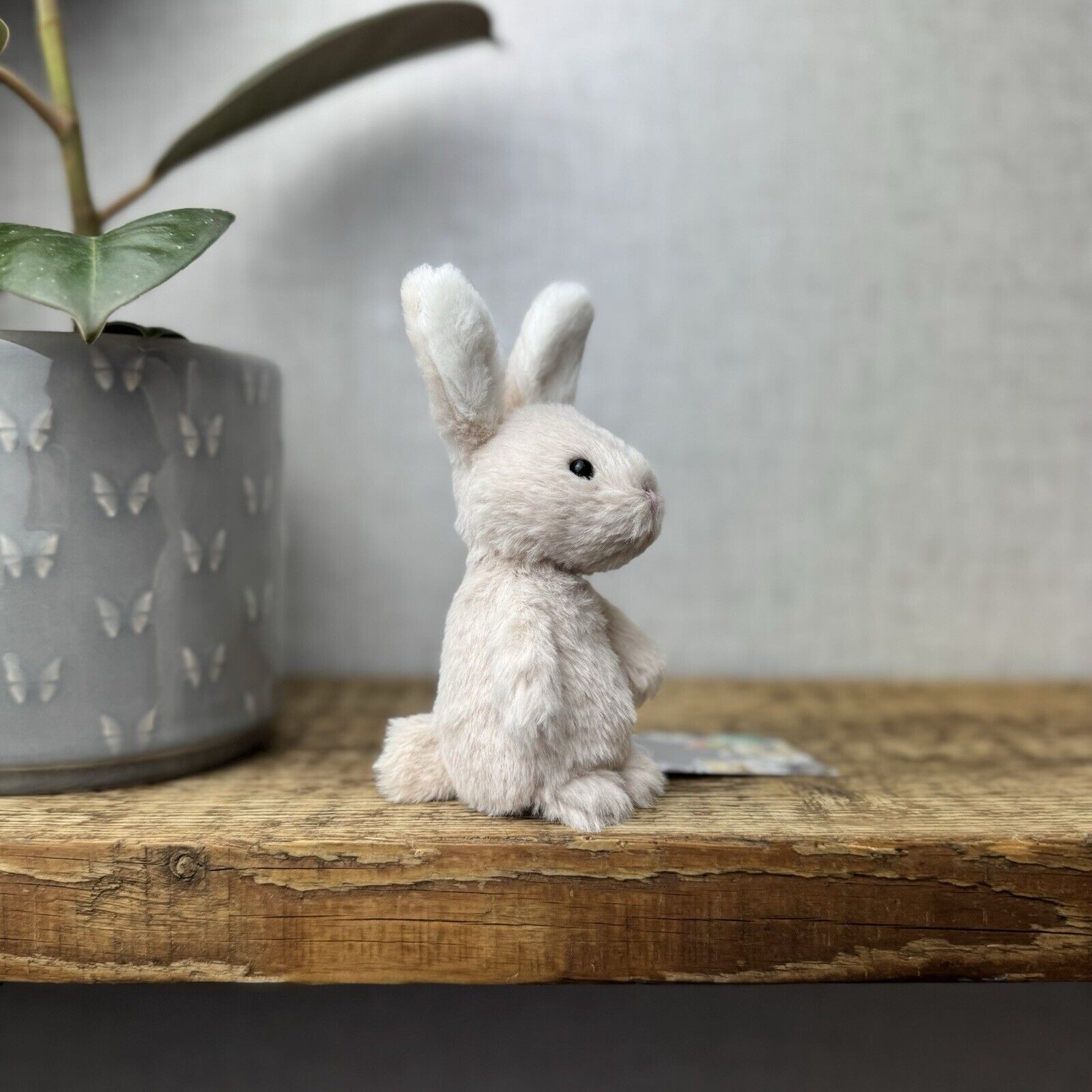 Jellycat Oatmeal Fluffy Bunny - Mini Bunny - Tiny Fluffy Bunny 5” Pocket Pal (2)