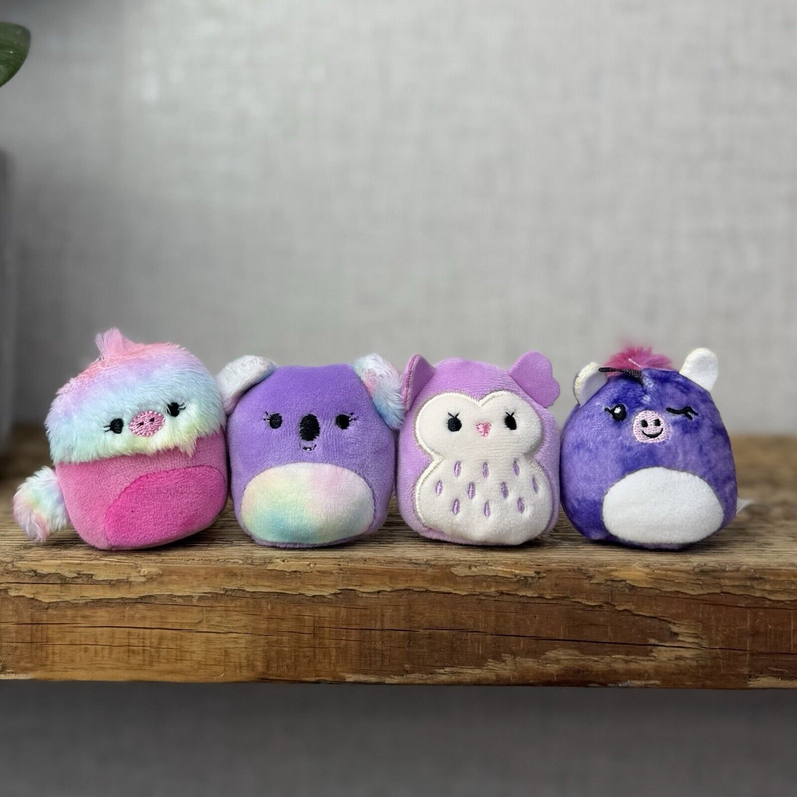 Squishmallow Squishville - Purple Mix - Renate, Abilene, Holly & Helena 2” Tiny