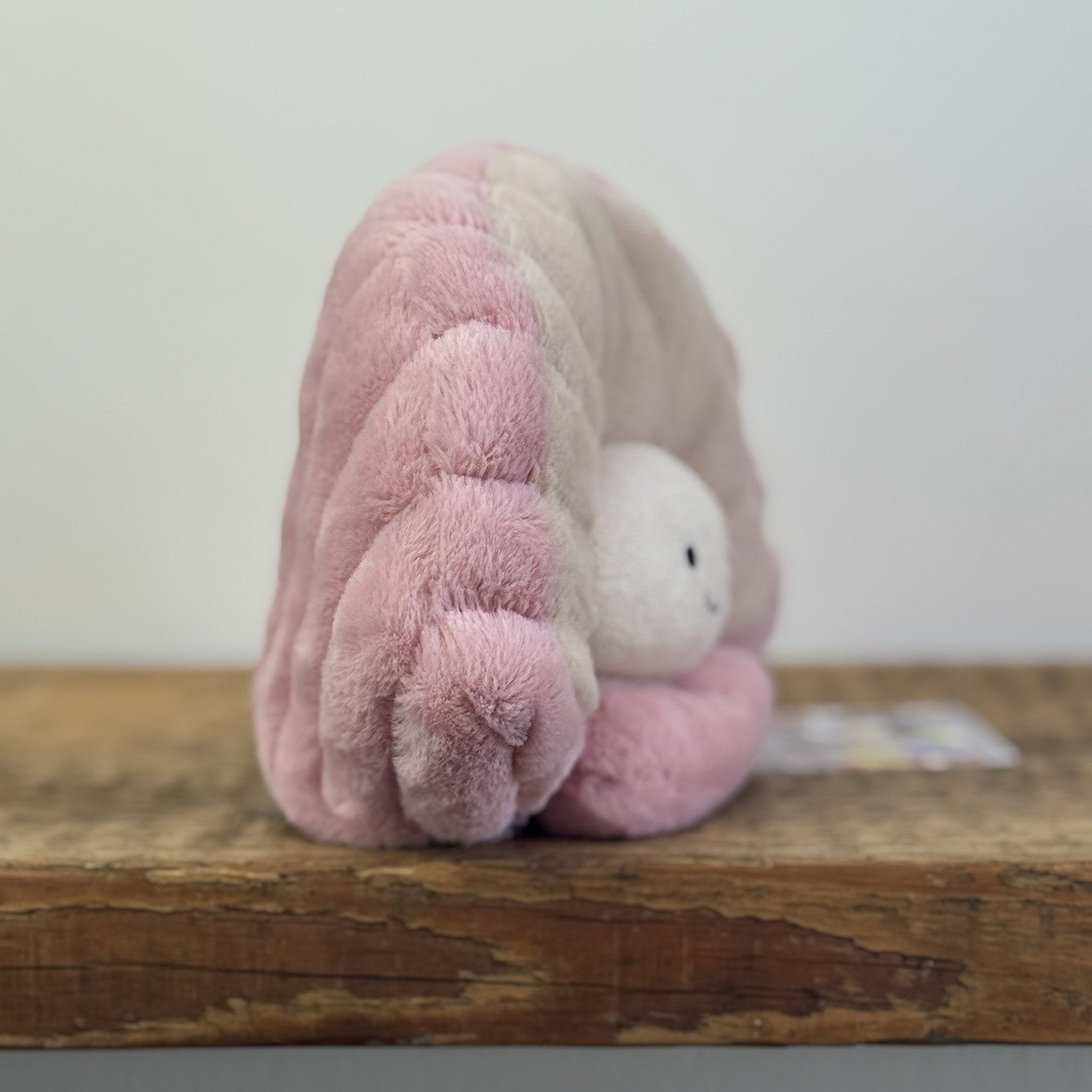 Jellycat Clemmie Clam - Retired Sea Creature Beanie Soft Toy Collectible 8"