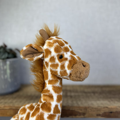 Jellycat Medium Dillydally Giraffe Soft Toy - Dilly Dally Retired soft toy 16”