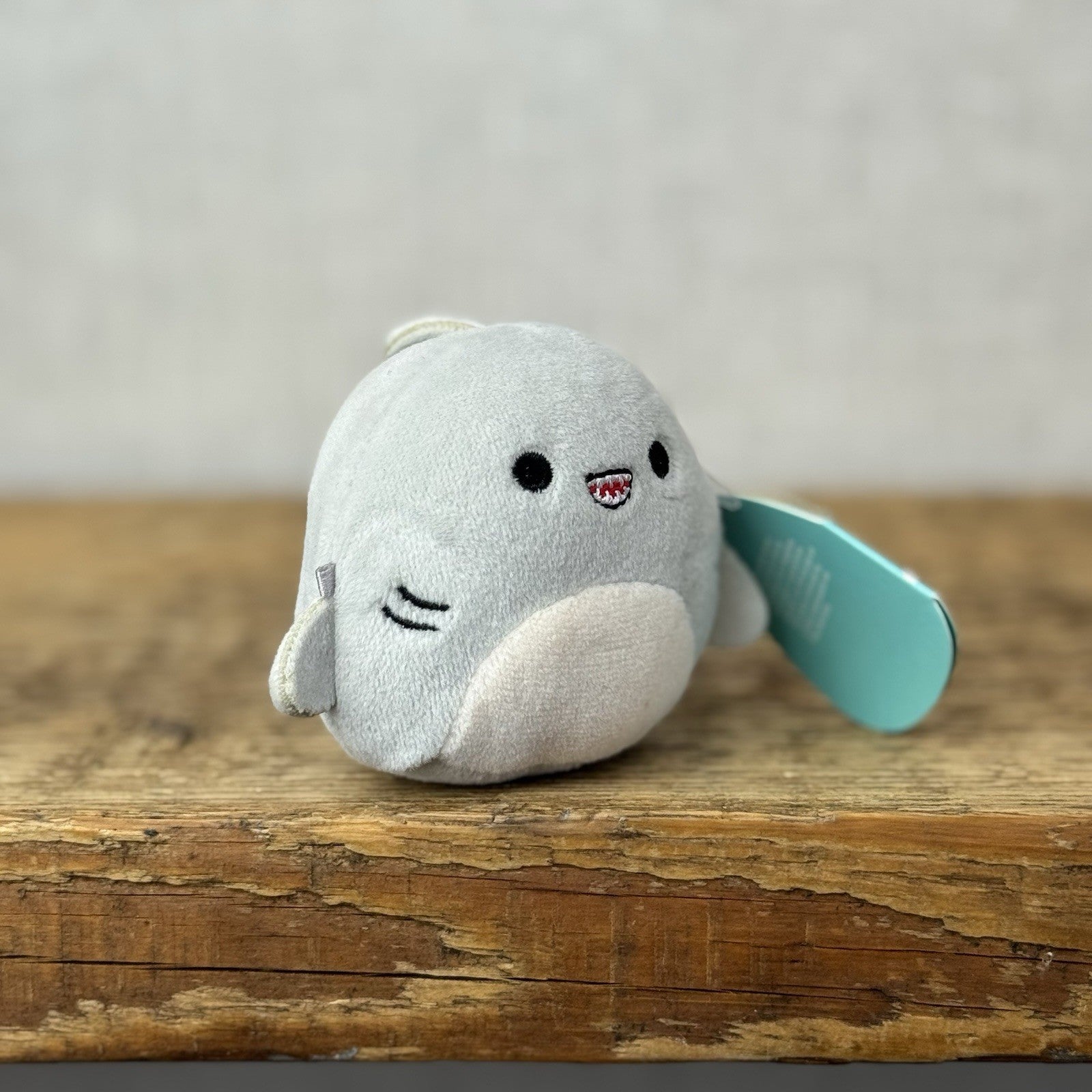Squishmallow Micromallow With Tag - Gordon The Shark Mini Grey Shark New 3"