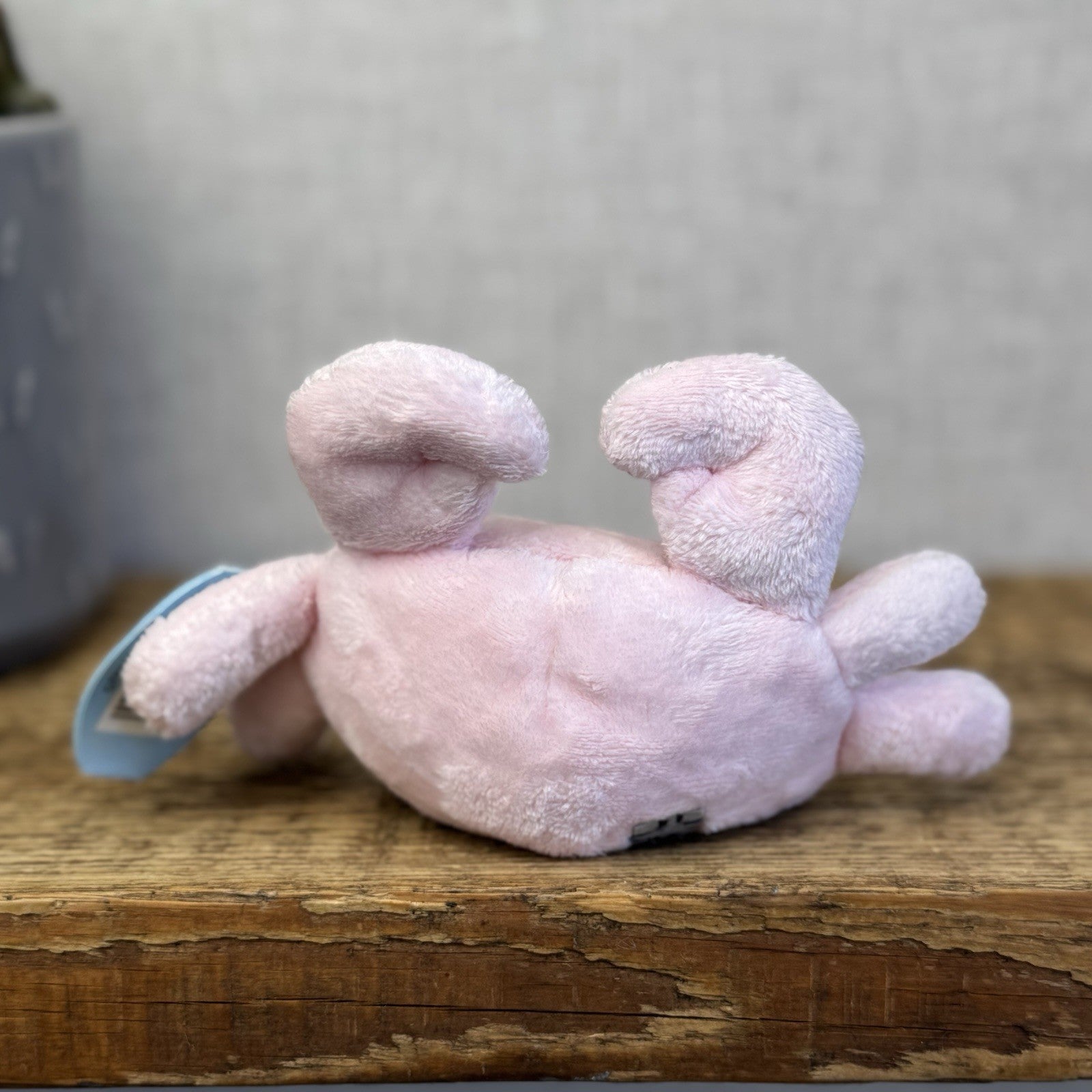 Blue Nose Friends Scuttle #115 - Carte Blanche Collectible Tatty Teddy Crab NWT