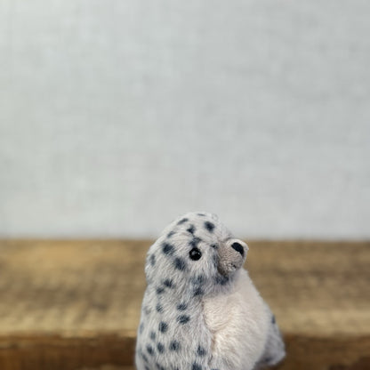 Jellycat Nauticool Spotty Seal - Tiny Fluffy Grey Seal Soft Beanie Pocket Pal