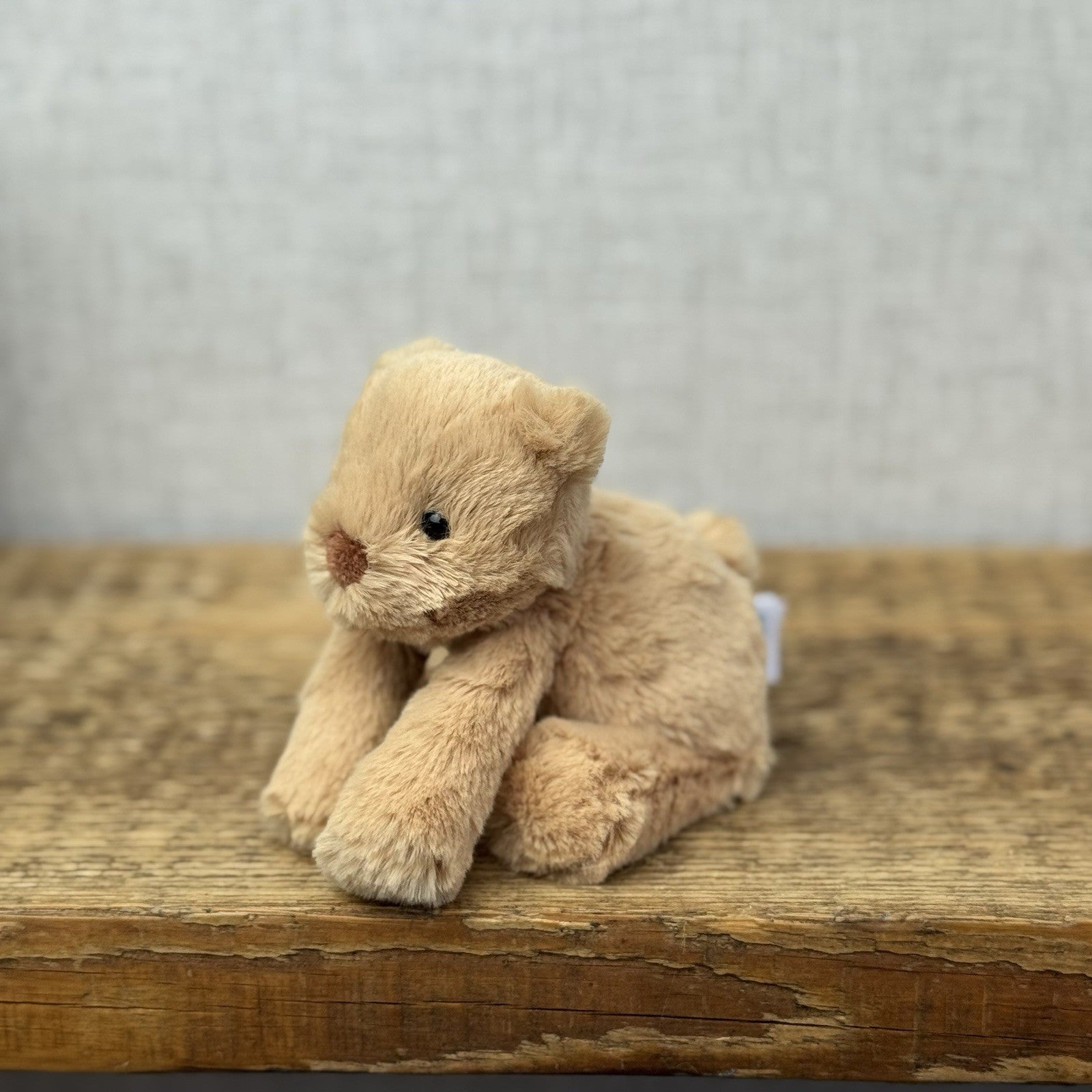 Jellycat Tiny Smudge Bear - Miniature Bear Beanie Plush New With Tags Retired 7"