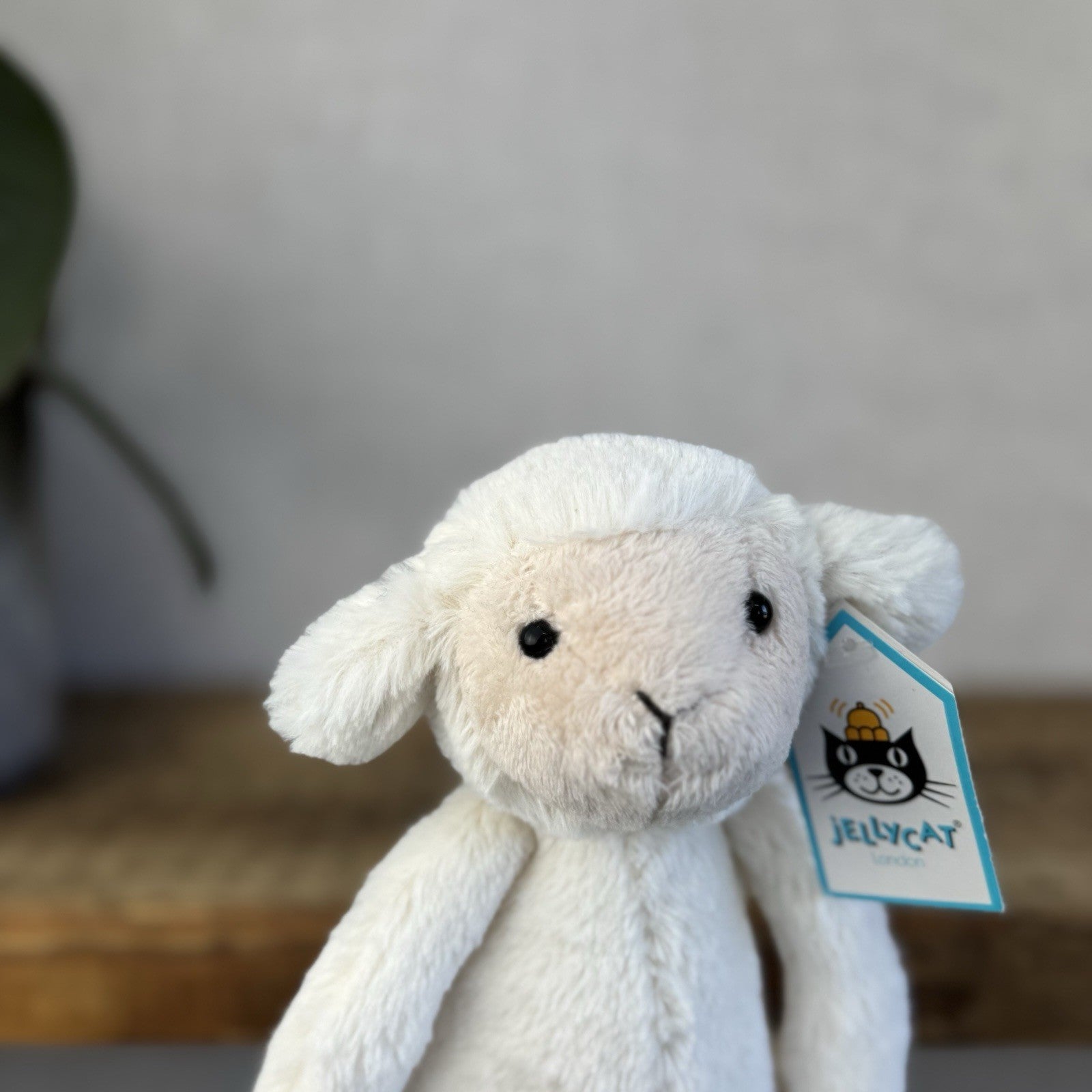Jellycat Small Bashful Lamb Soft Toy Sheep New With Tags Cream Beanie 8” Tags