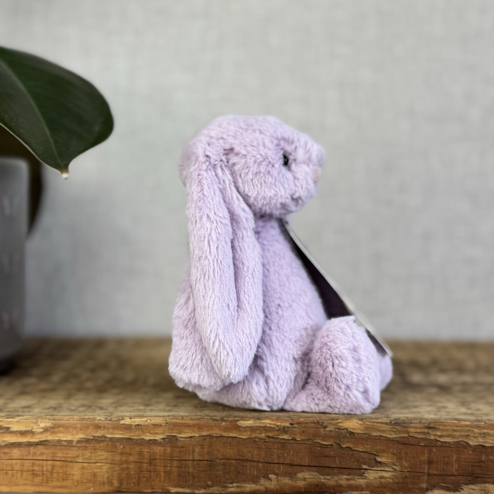 Jellycat Small Hyacinth Bashful Bunny - Little Lilac Purple Bunny Rabbit 8”