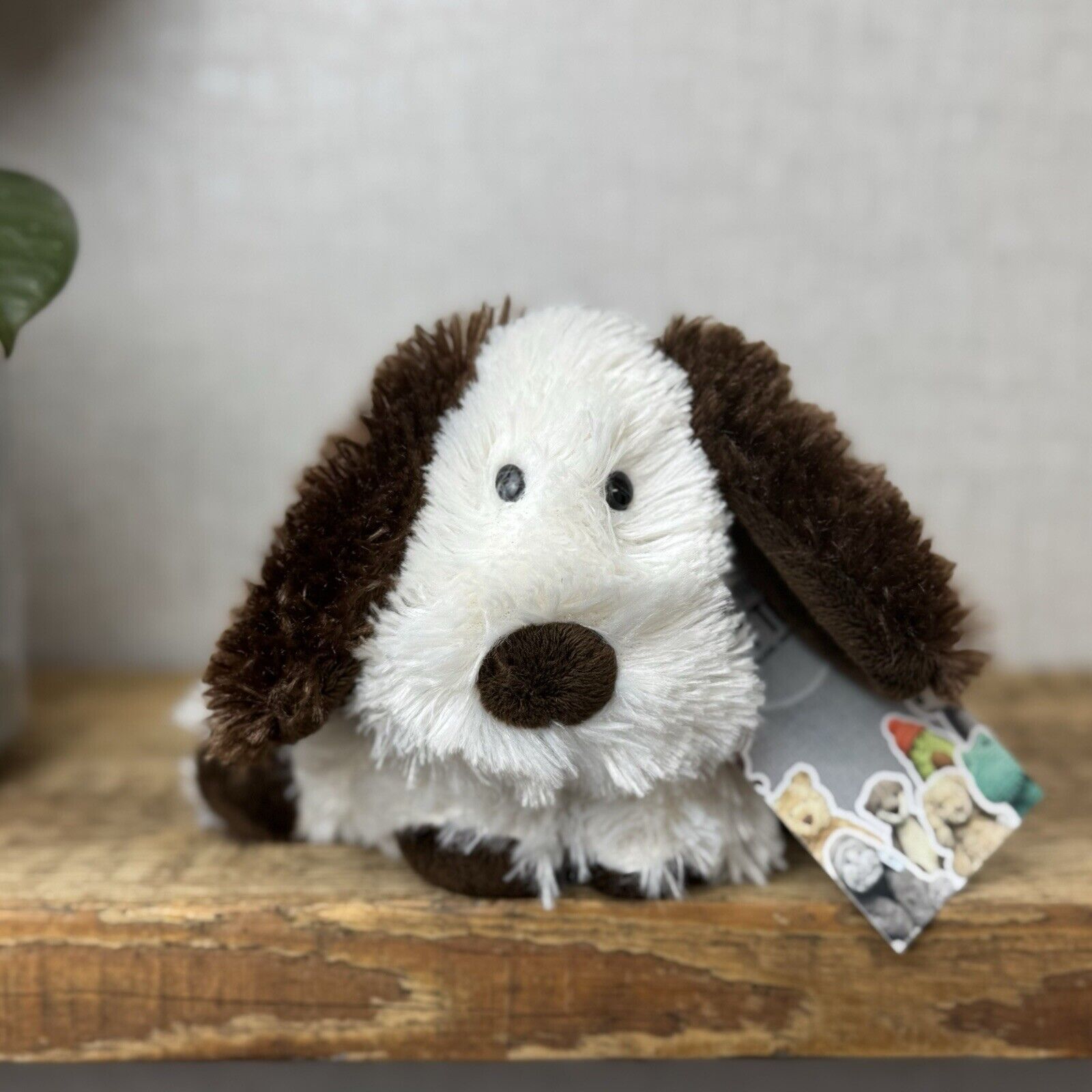 Jellycat Small Truffles Dog Puppy- Cream/Brown Floppy Dog Pillow Beanie Rare 7”