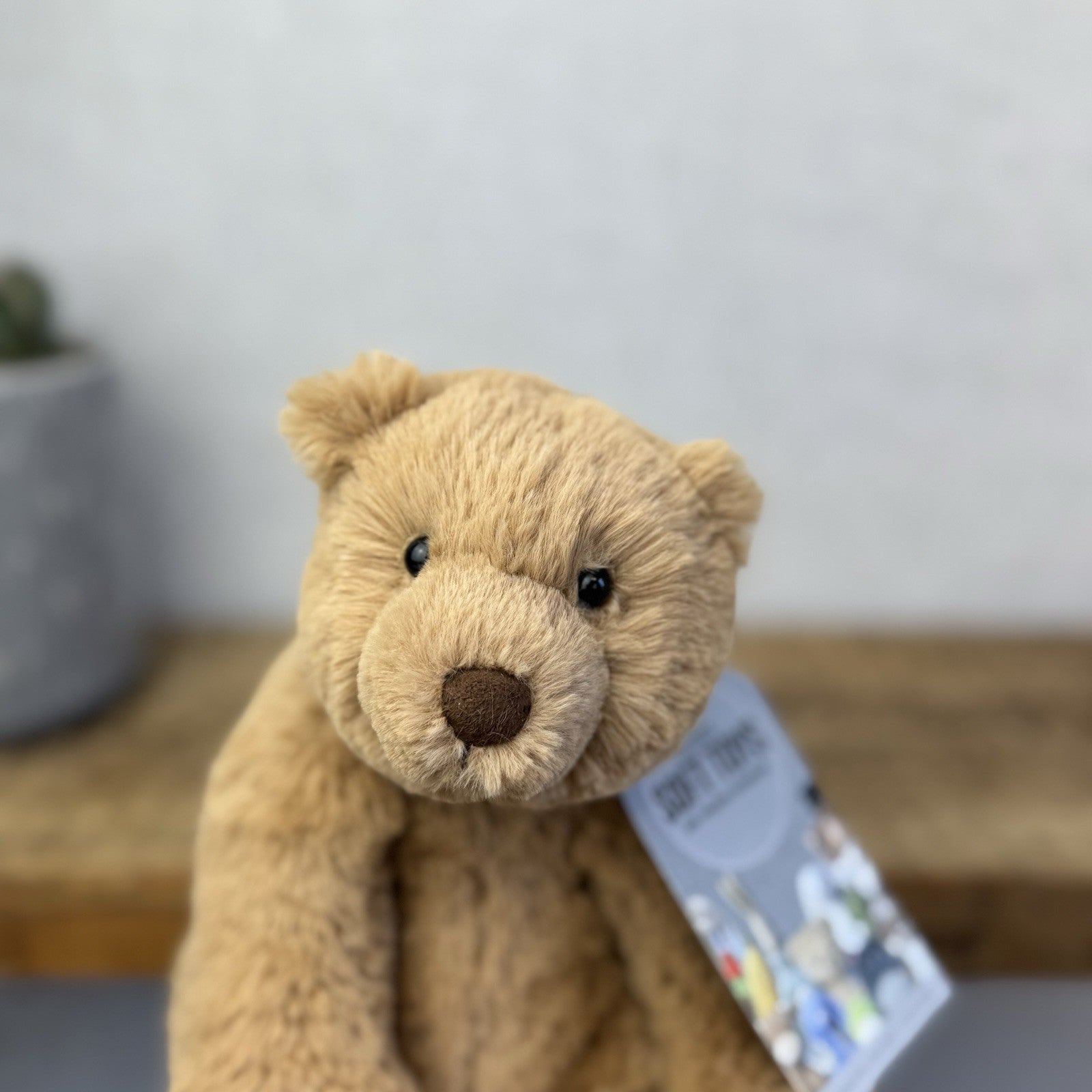 Jellycat Small Cecil Bear - Small Sitting Brown Bear Beanie Plush Retired 8"