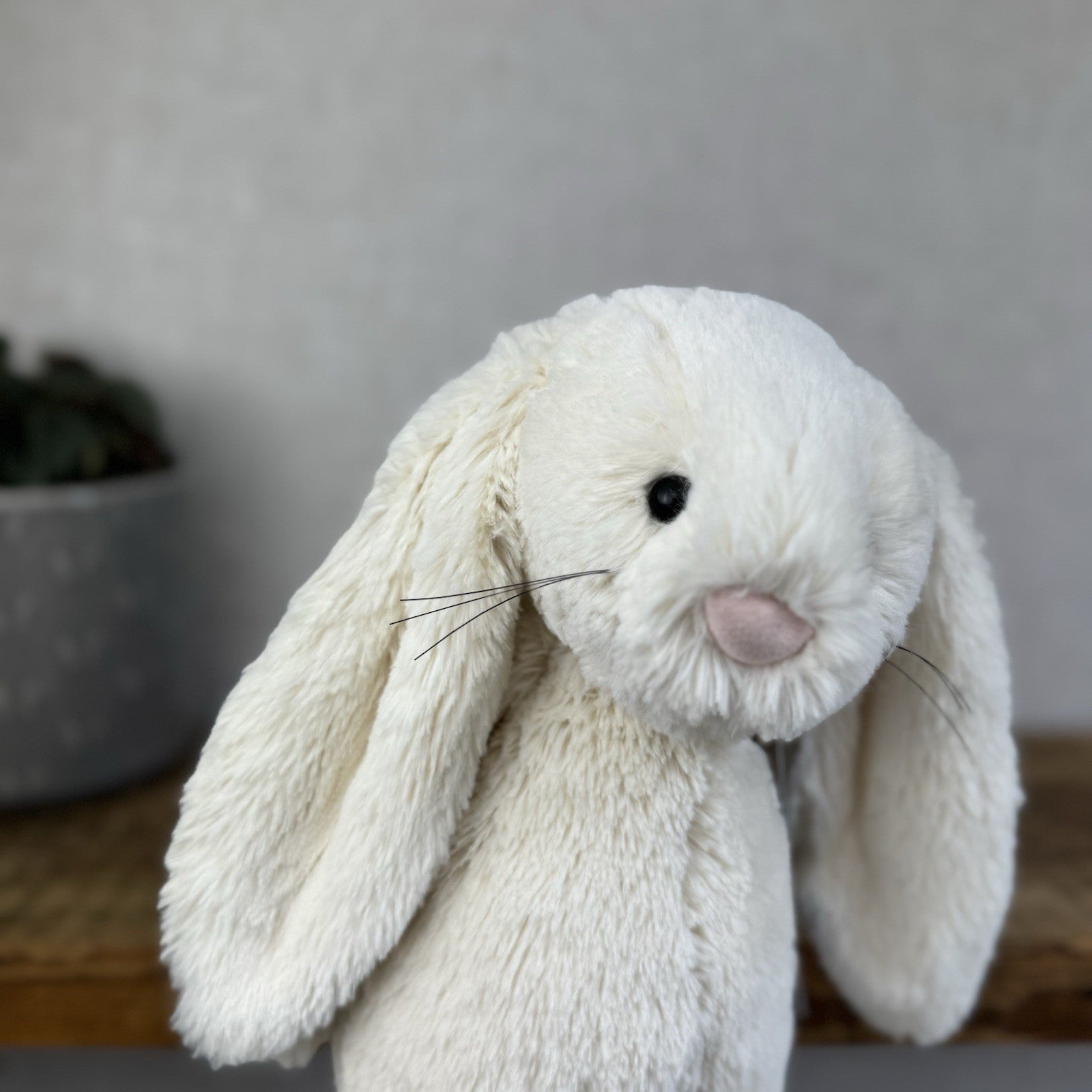 Jellycat Medium Cream Bashful Rabbit - Old Bashful With Whiskers Rare 12”