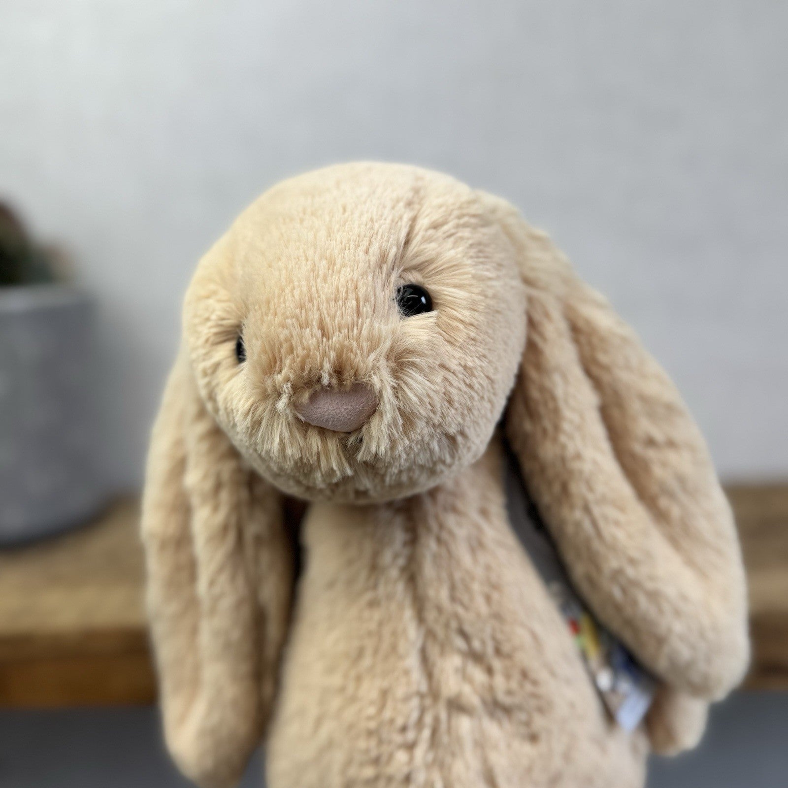 Jellycat Medium Bashful Honey Bunny - Rare Retired Medium Rabbit 12”