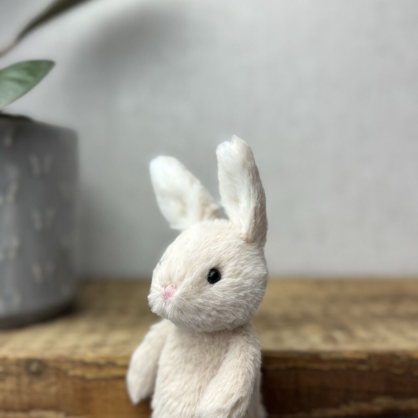 Jellycat Oatmeal Fluffy Bunny - Mini Bunny - Tiny Fluffy Bunny 5” Pocket Pal (2)