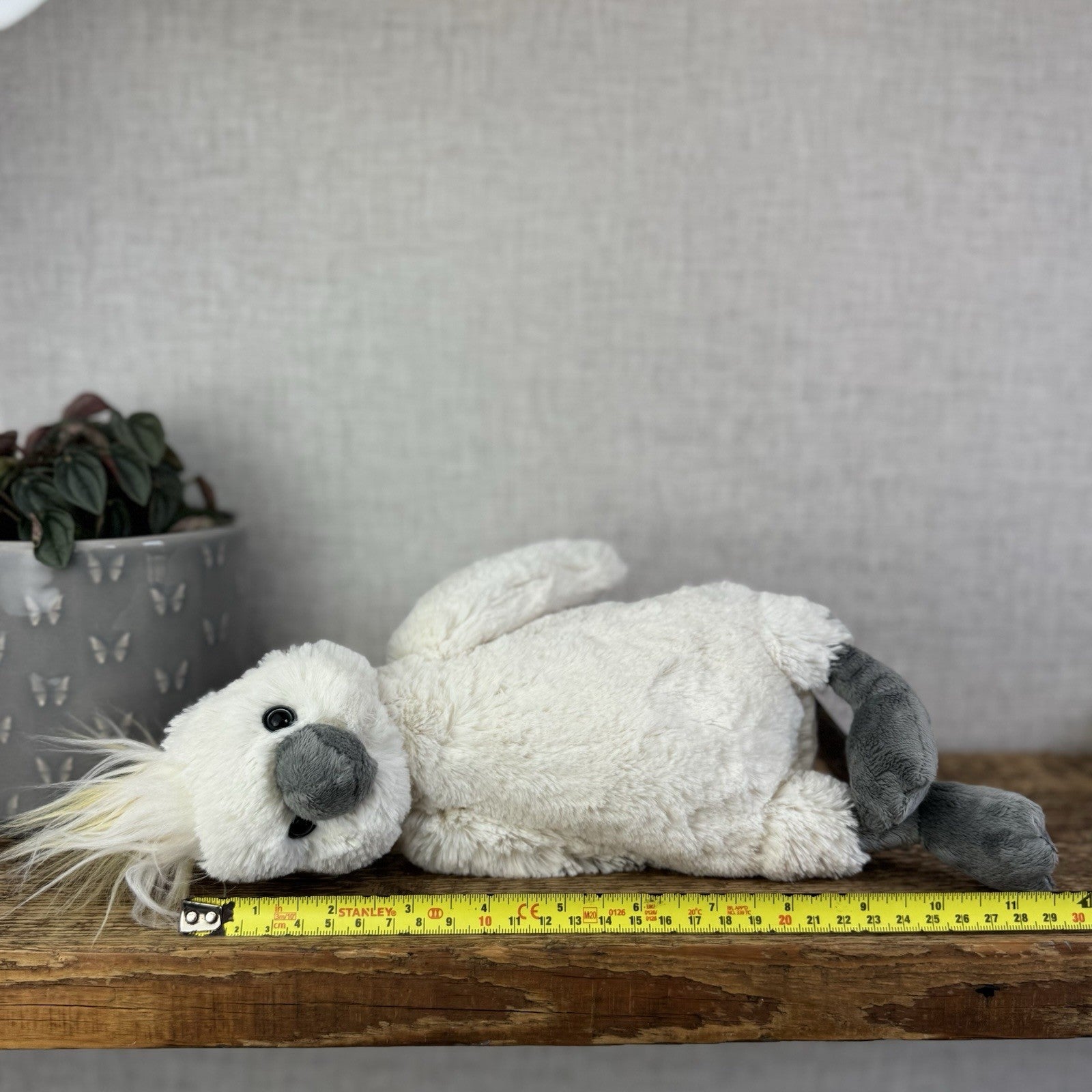 Jellycat Medium Bashful Cockatoo - White Medium Bird Rare Retired Beanbag Plush