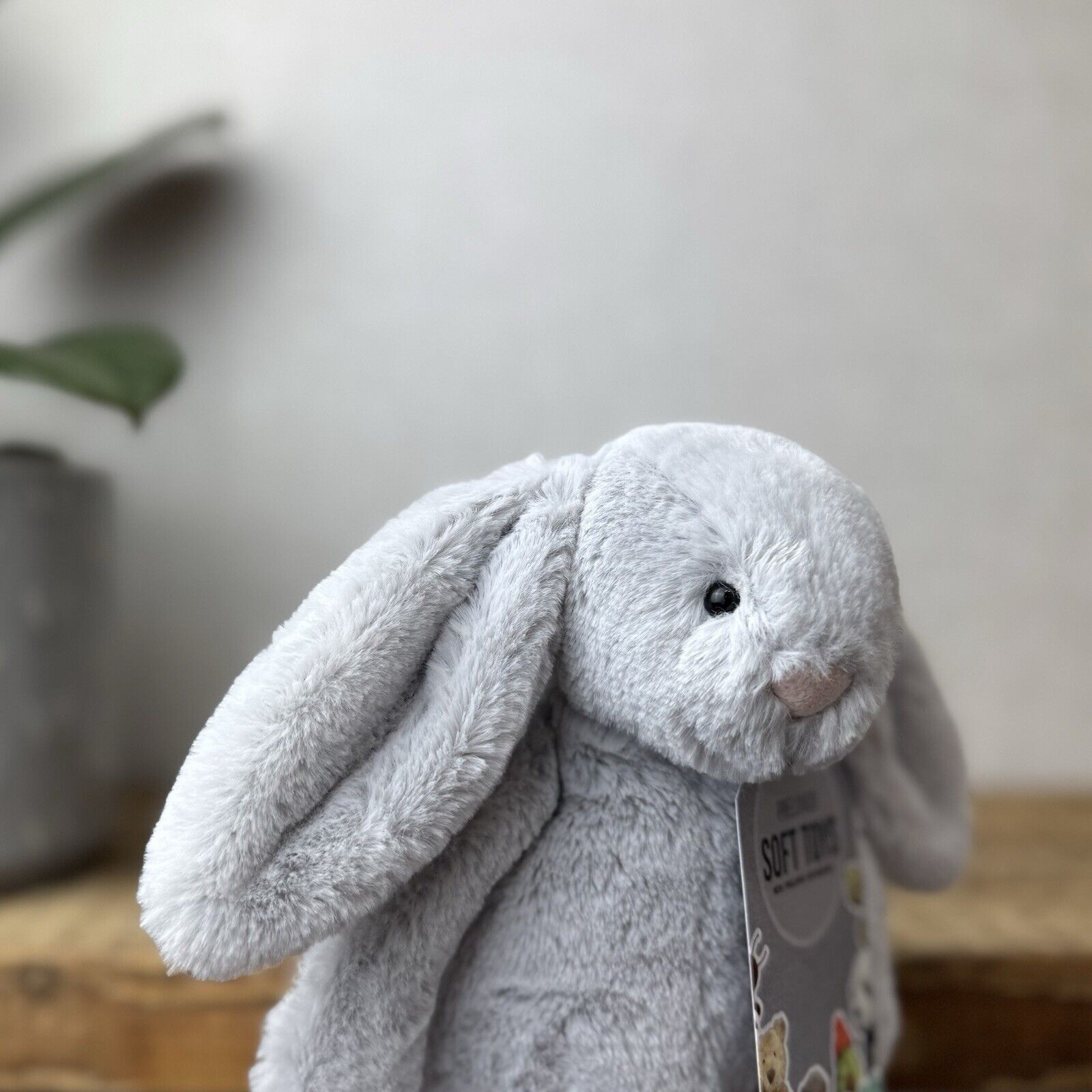 Jellycat Small Bashful Bunny Grey - Small Bunny White Tail Beanie NWOT 8”
