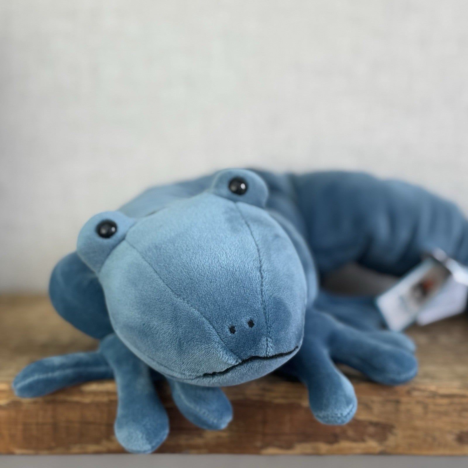 Jellycat Zigzag Gecko - Blue Velour Large Beanie Lizard Rare With Tags 22"