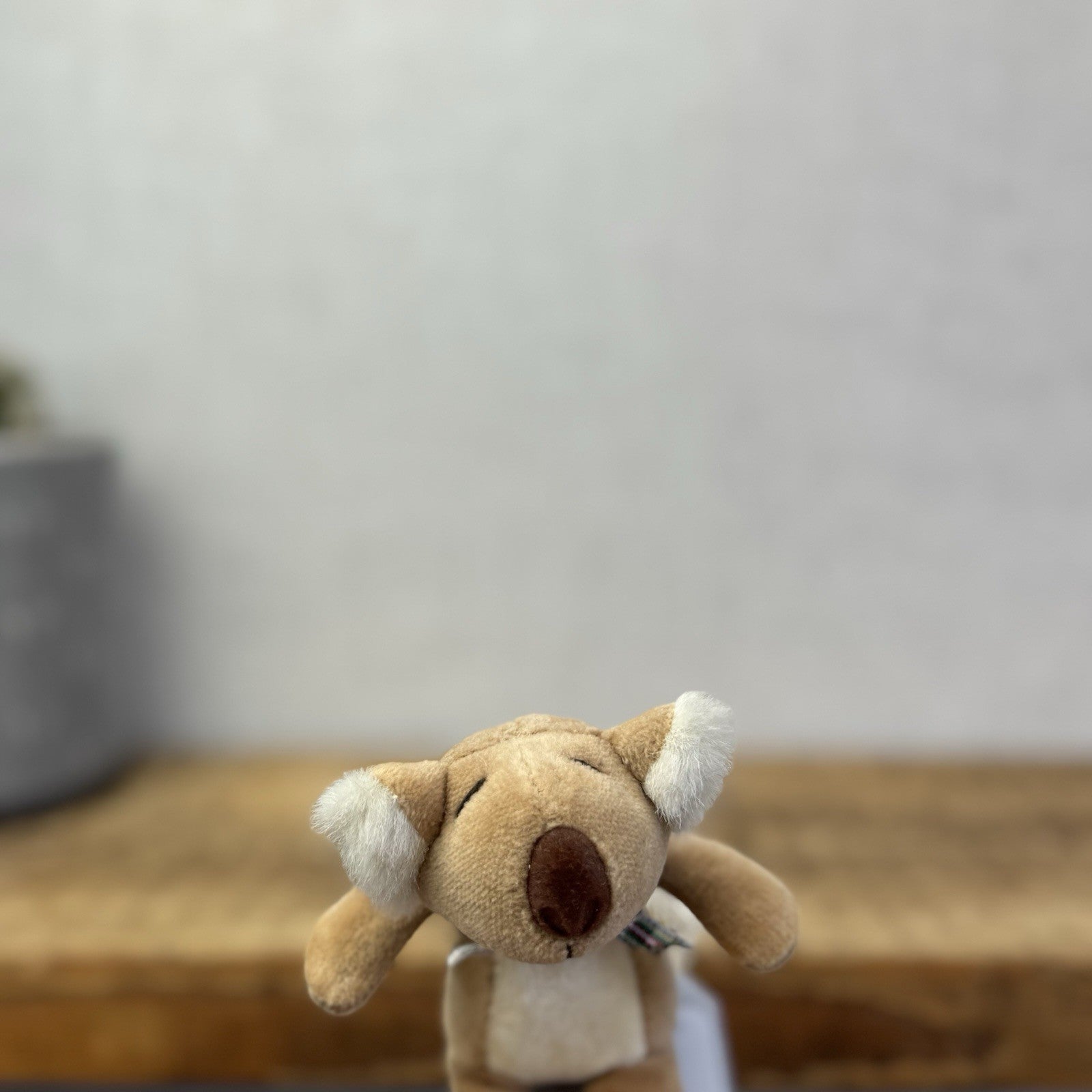 Manhattan Toy Company Tiny Plush - Baby Floppy Koala Rare  - Mini 4" (Jellycat)