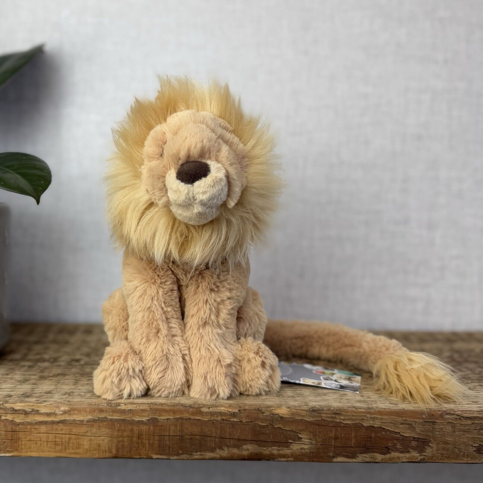 Jellycat Leonardo Lion Small Cat Long Tail - Sitting Jellycat Lion Small 7”