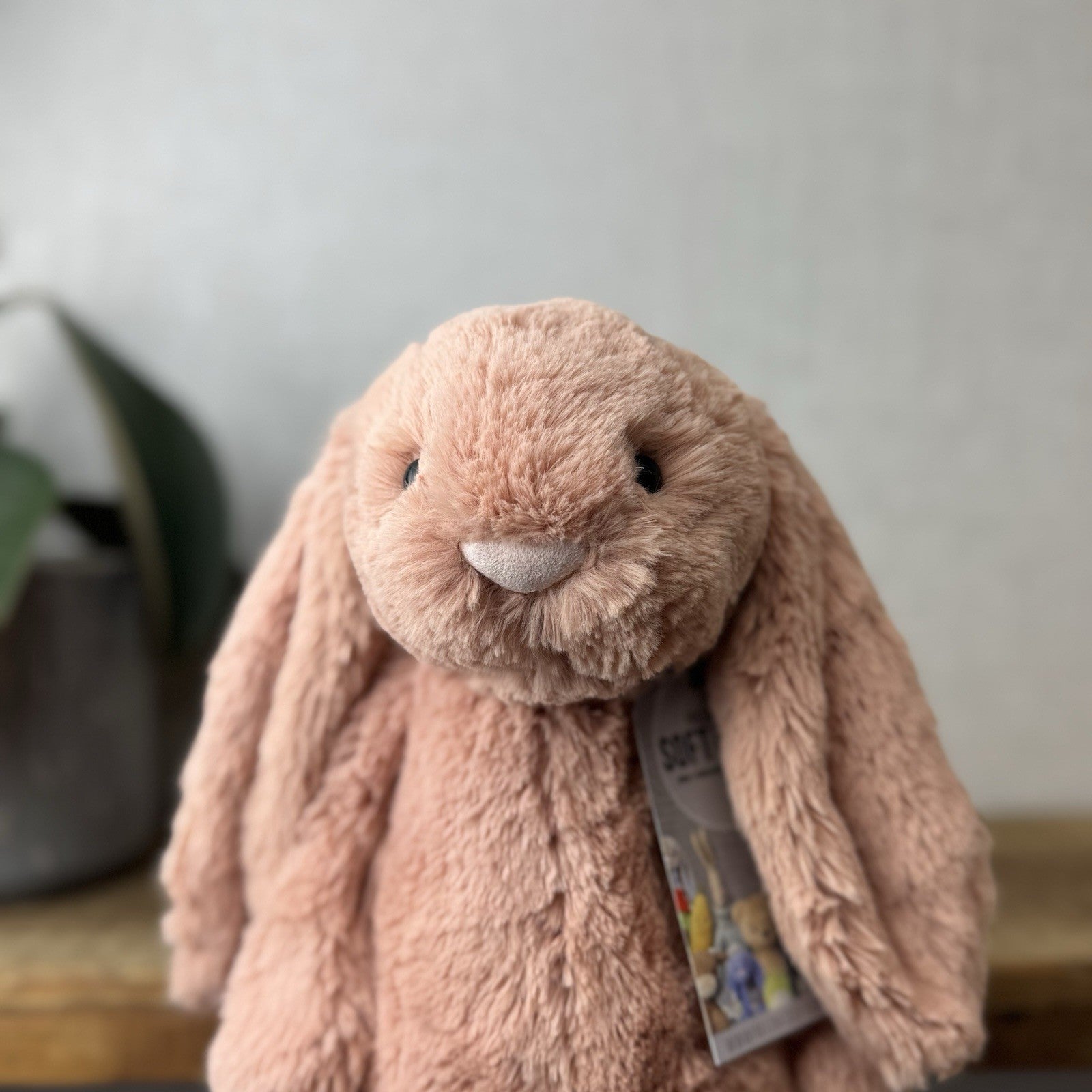 Jellycat Medium Bashful Apricot Bunny - Peach Pale Pink Bashful Jellycat 12”