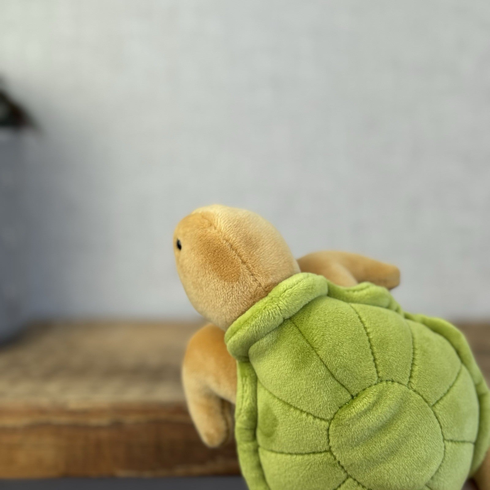 Jellycat Small CeeCee Turtle - Small Green Velour Turtle Beanie retired 6” (#2)