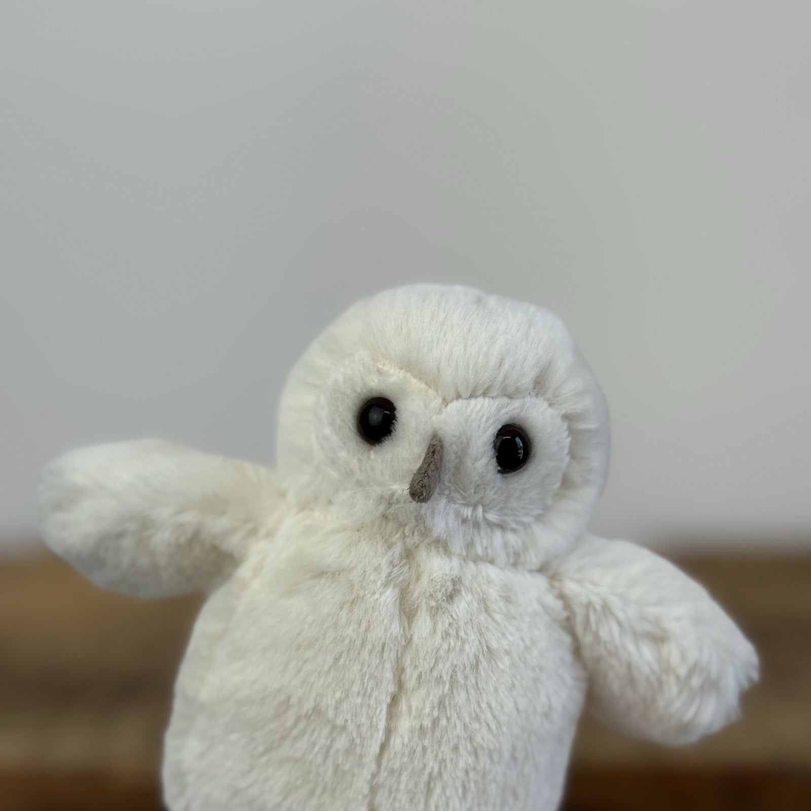 Jellycat Tiny Baby Bashful Owl - Tiny White Owl Bird Jellycat Rare 5"