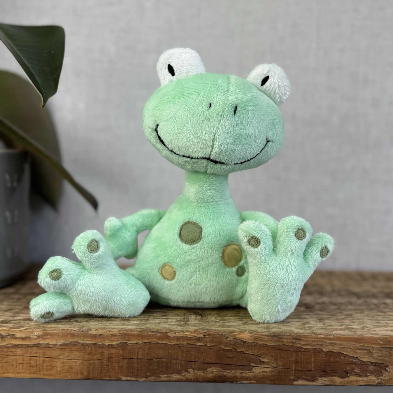 Jellykitten Bing Bong Frog - Soft Toy Frog Vintage Retired With Tags Small 10”