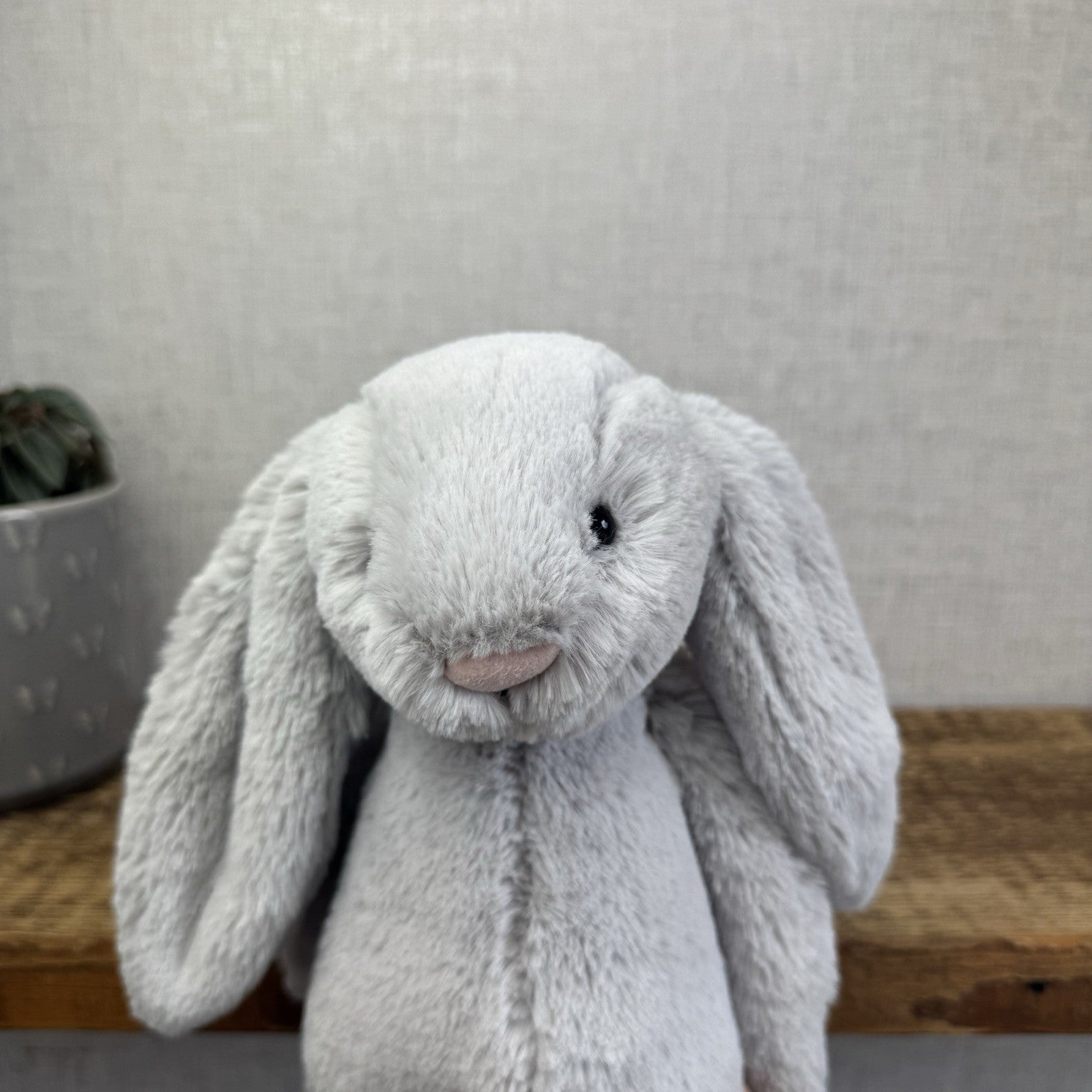 Jellycat The Little White Company Silver Bashful Bunny - New With Tags 12”