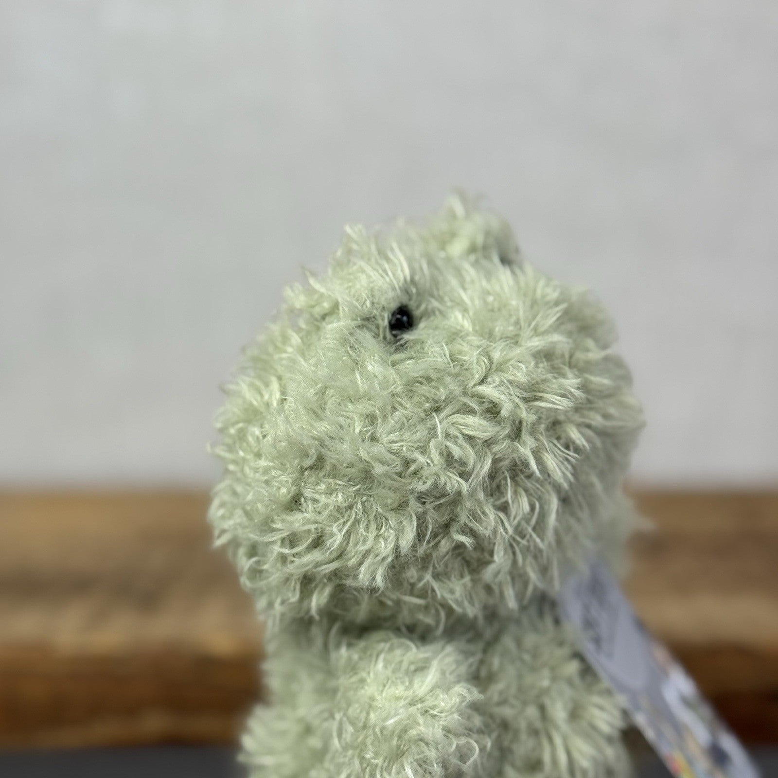 Jellycat Little Frog - Fluffy Little Frog - Light Gren Frog Plush Soft Toy Small