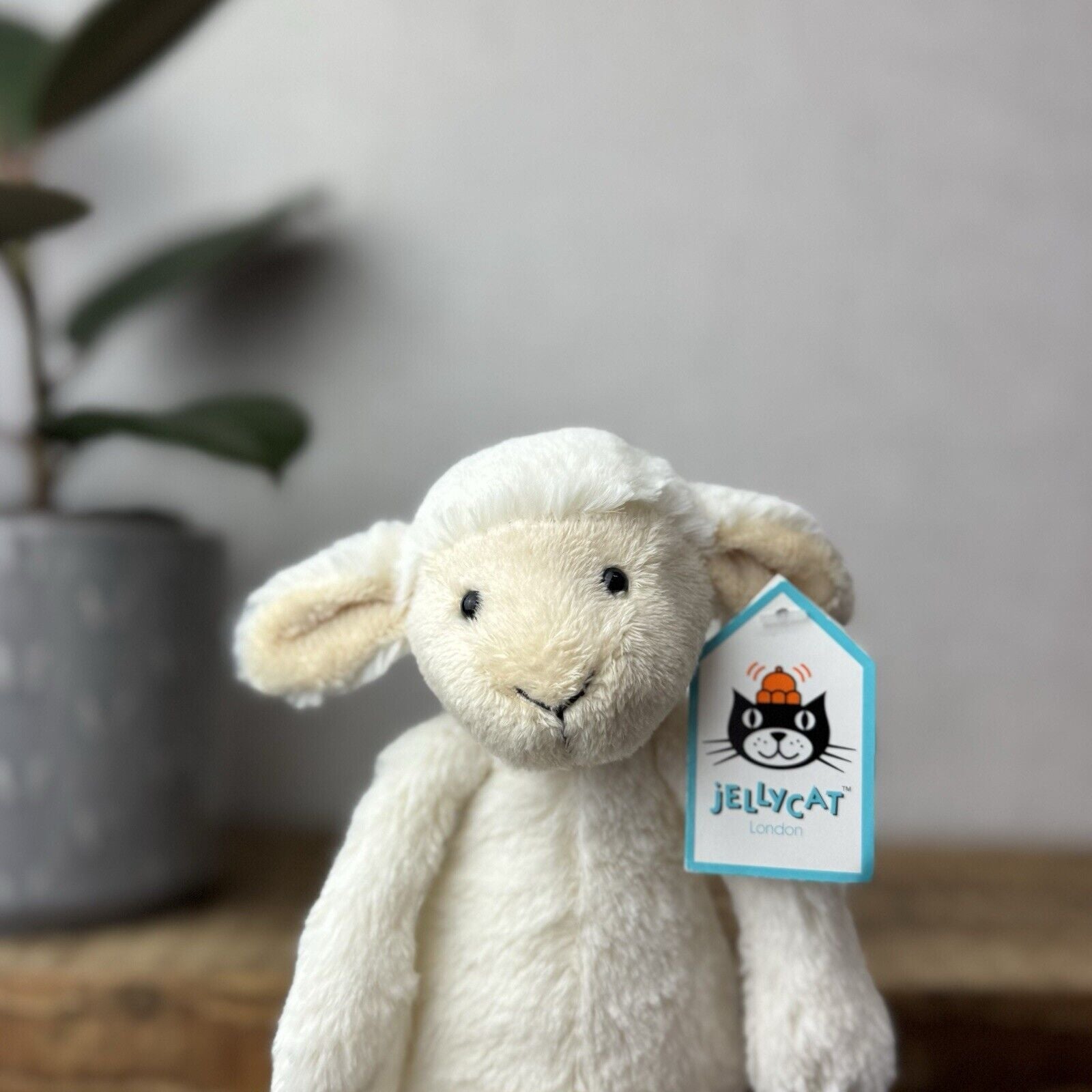 Jellycat Small Bashful Lamb Soft  Plush - Small Bashful Lamb Old Style Old Tags