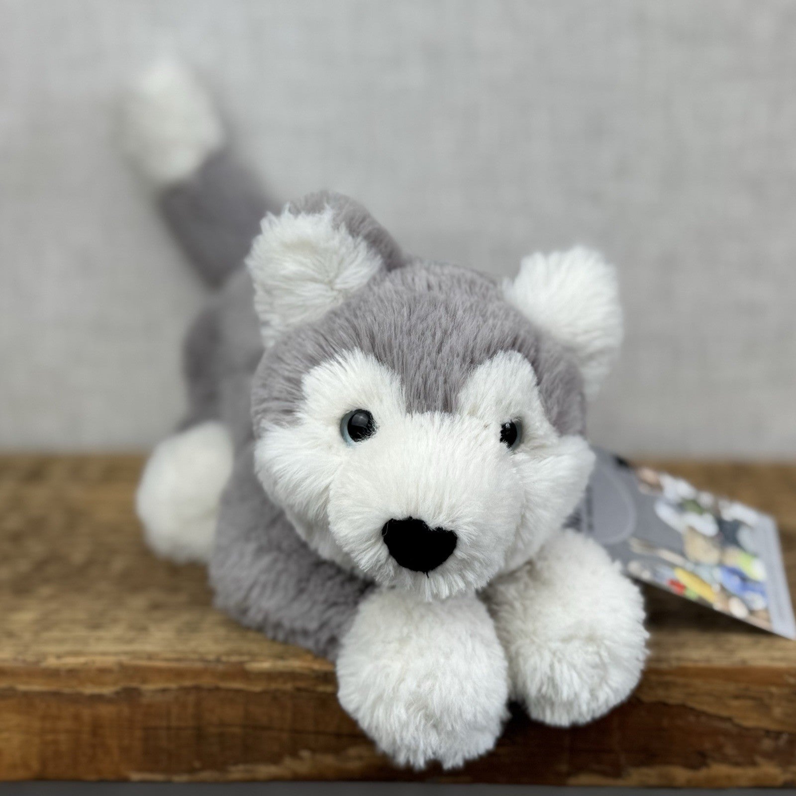 Jellycat Small Hudson Husky - Grey Laying Husky Beanie Soft Toy Retired 11"