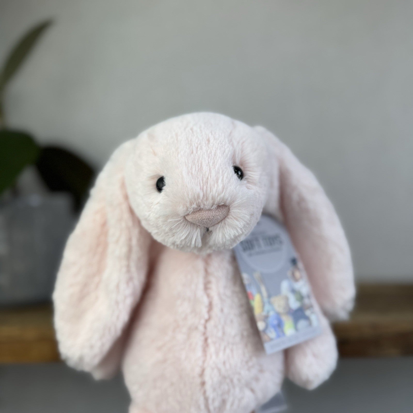 Jellycat Medium Bashful Baby Pink Bunny - Baby Pink Little Jellycat Rabbit 12”