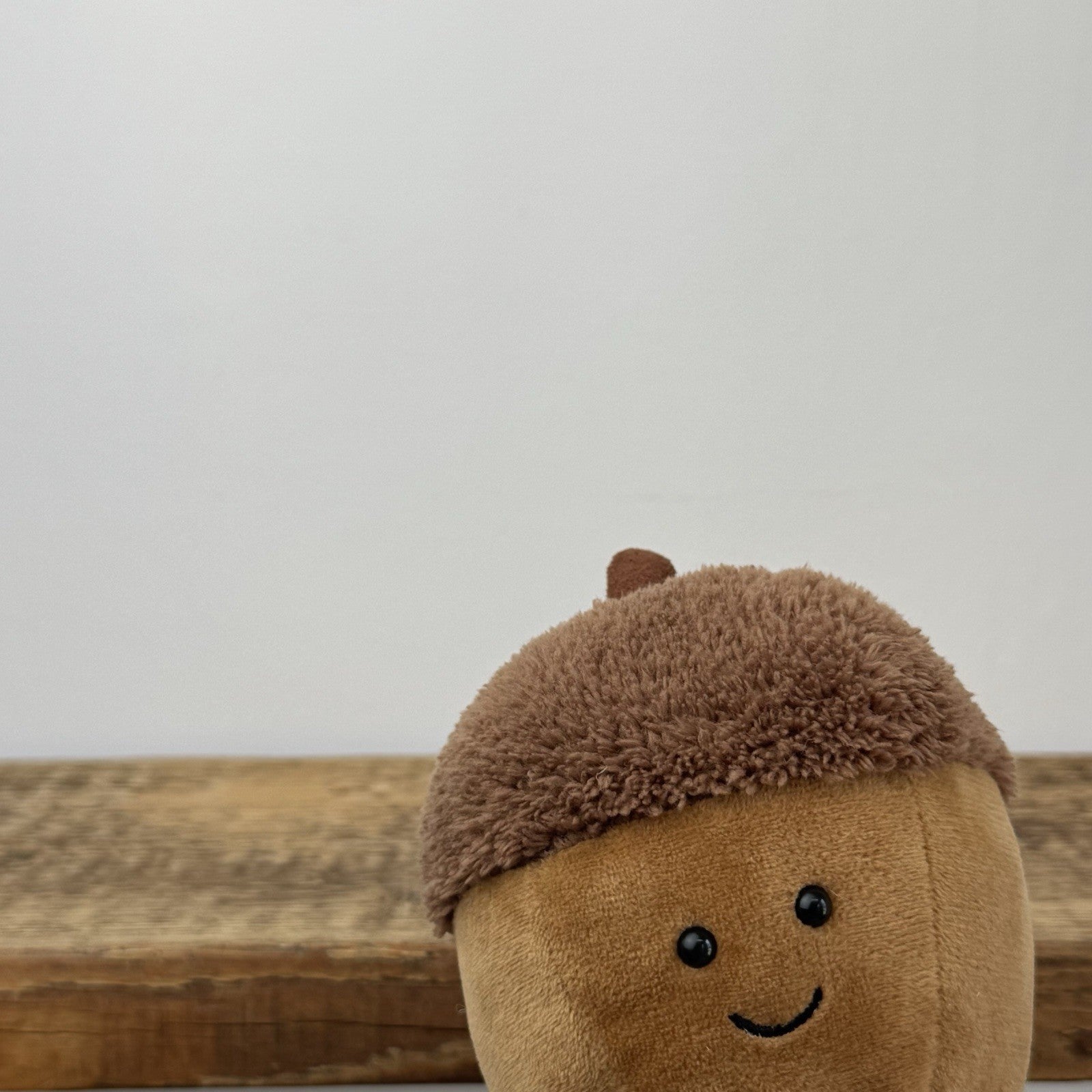 Jellycat Amuseable Acorn - Autumn Collection Jellycat Acorn With legs NWOT