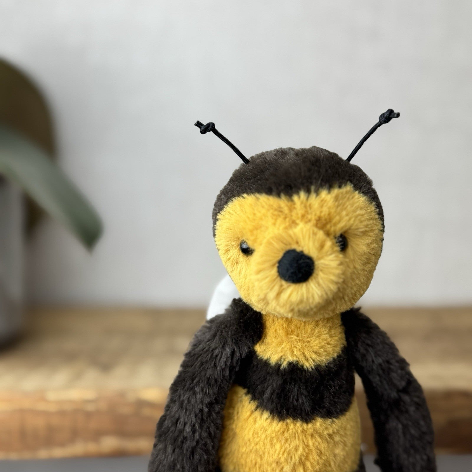 Jellycat Small Bashful Bee - Bumble Bee Plush Beanie Insect Soft Toy Retired 8”