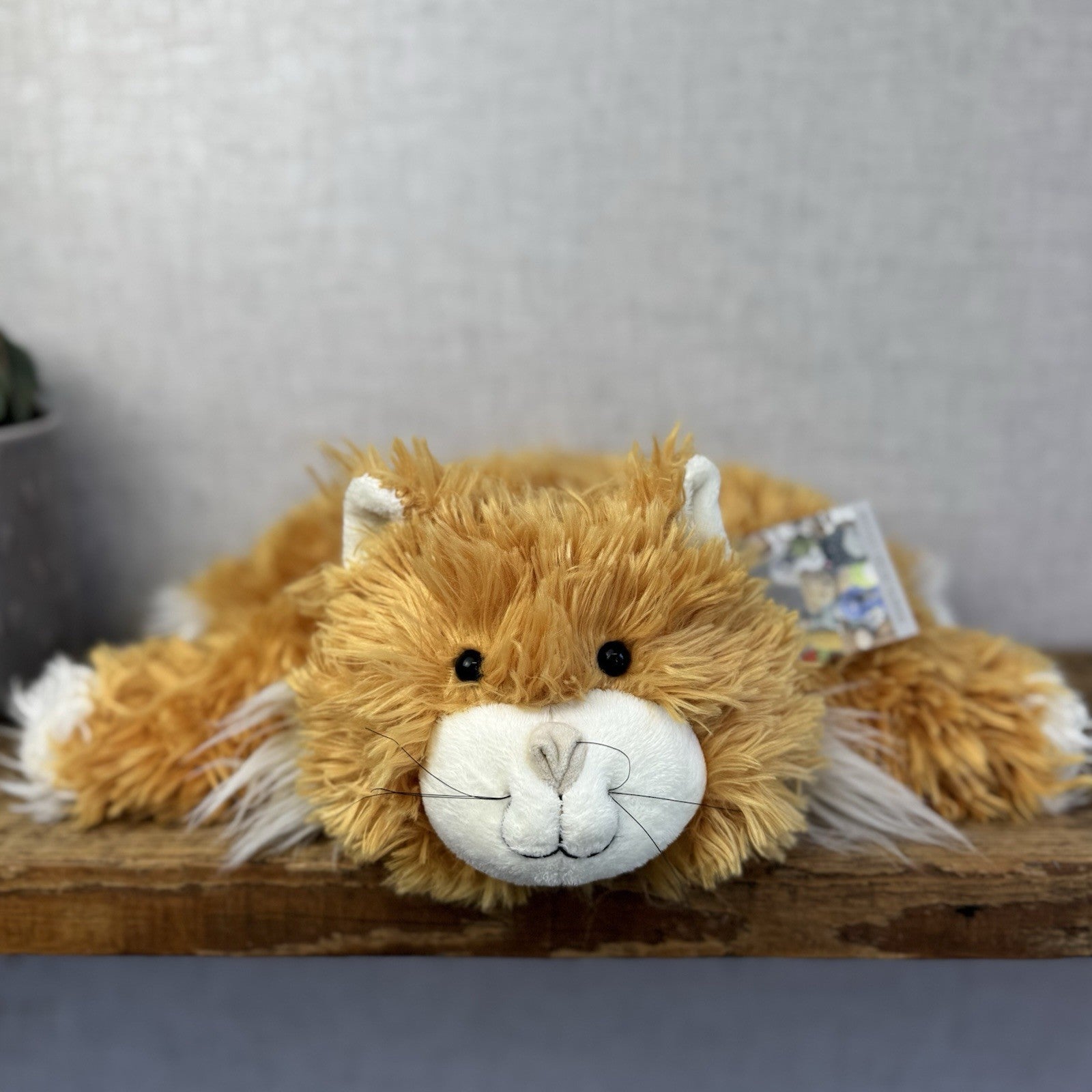 Jellycat Medium Truffles Vintage Ginger Cat - Cat Floppy Pillow Beanie Rare NWOT