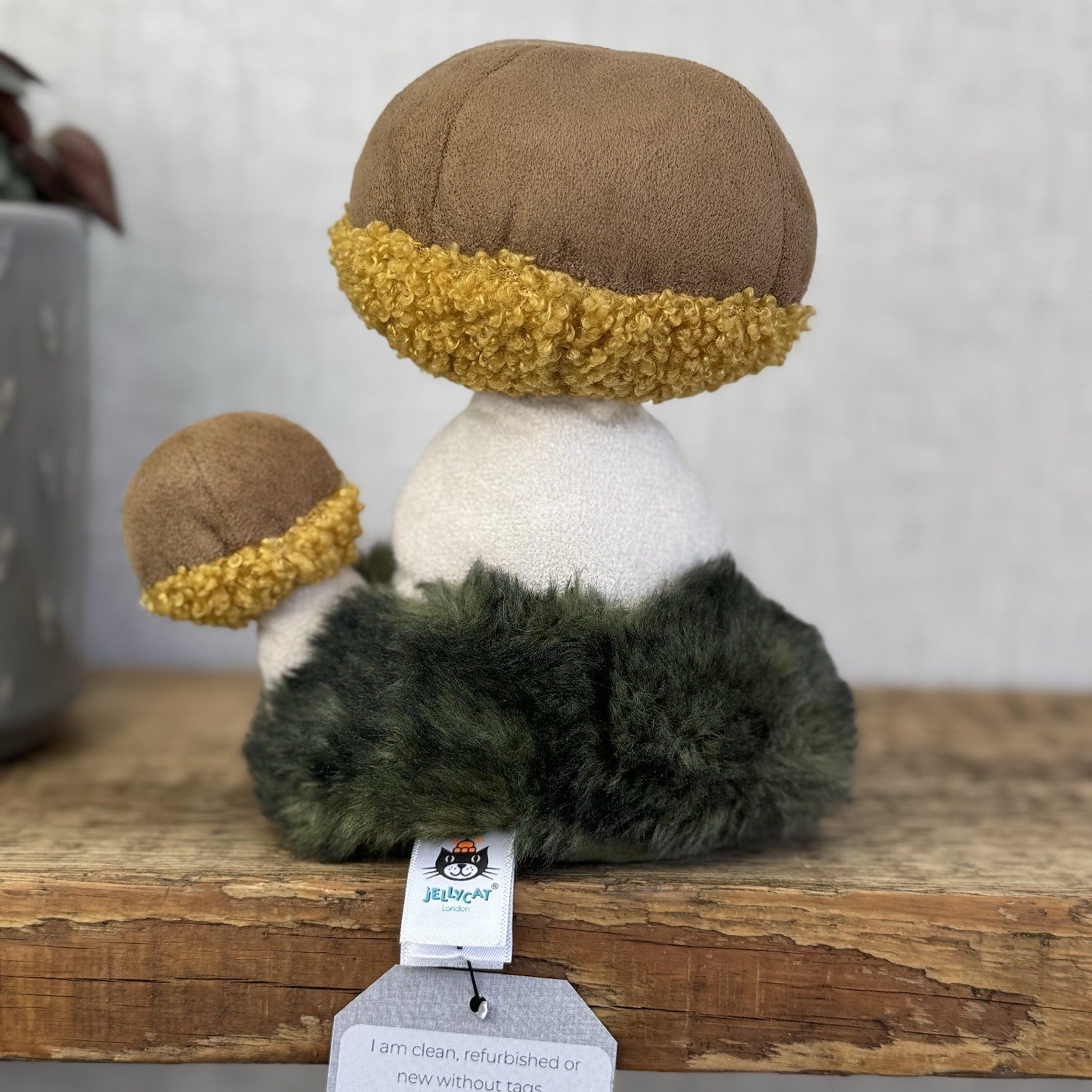 Jellycat Wild Nature Boletus Mushroom - Retired Mushroom Beanie Plush Display 8"