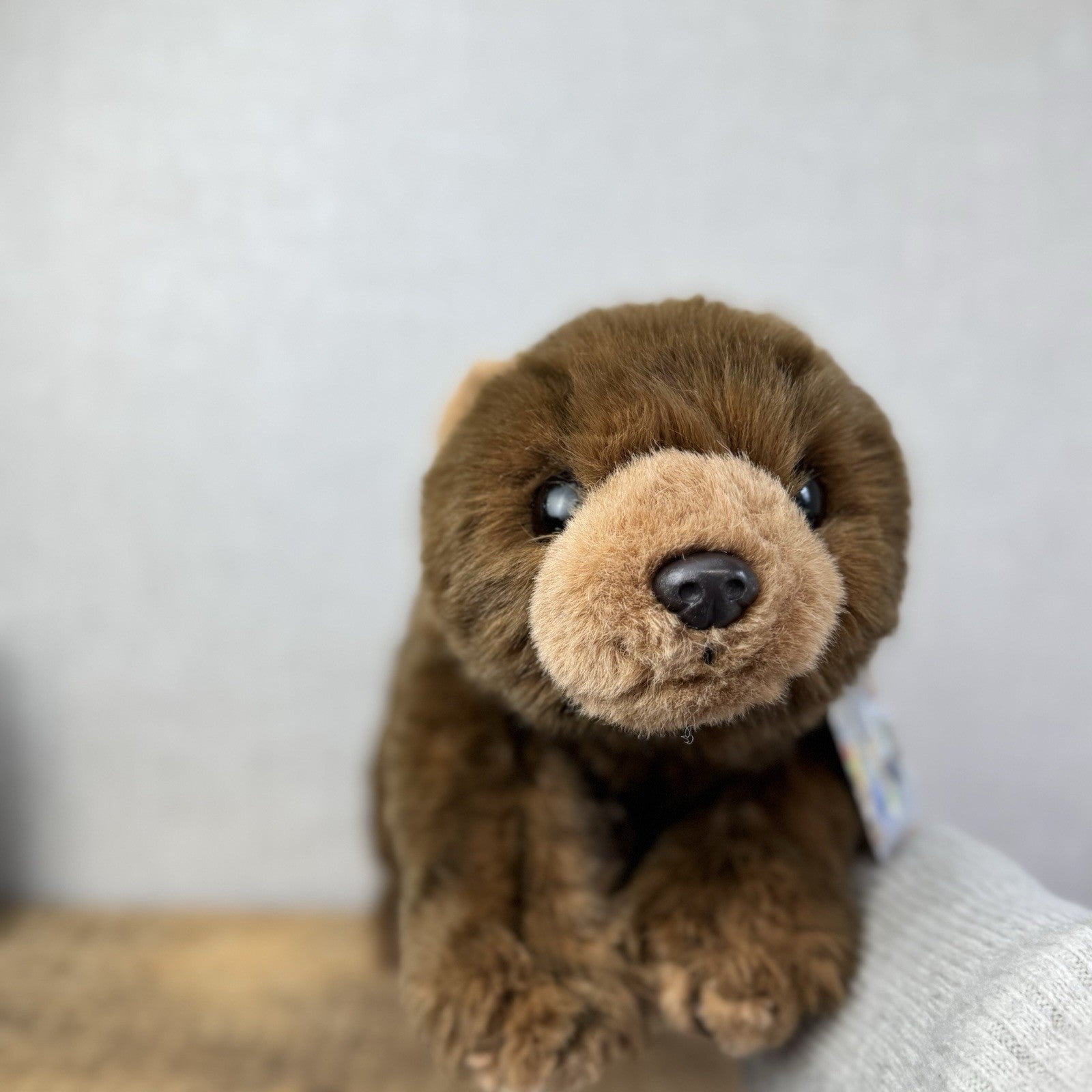 TY Baby Buddy Bear 1991 - Rare Flat Black Bear Brown Floppy Bear Hard To Find