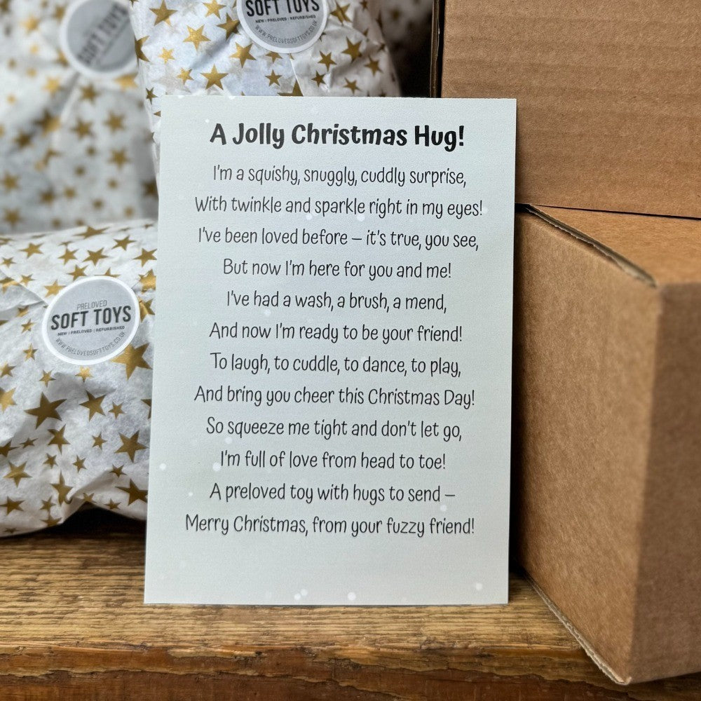 Aurora Palm Pal Flying Squirrel - Secret Santa Gift Box - Christmas Gift Wrapped