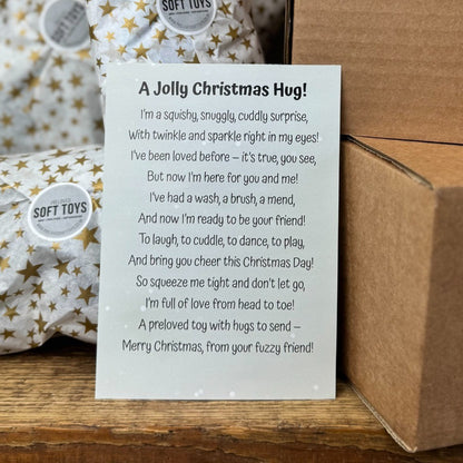 Aurora Palm Pal Flying Squirrel - Secret Santa Gift Box - Christmas Gift Wrapped