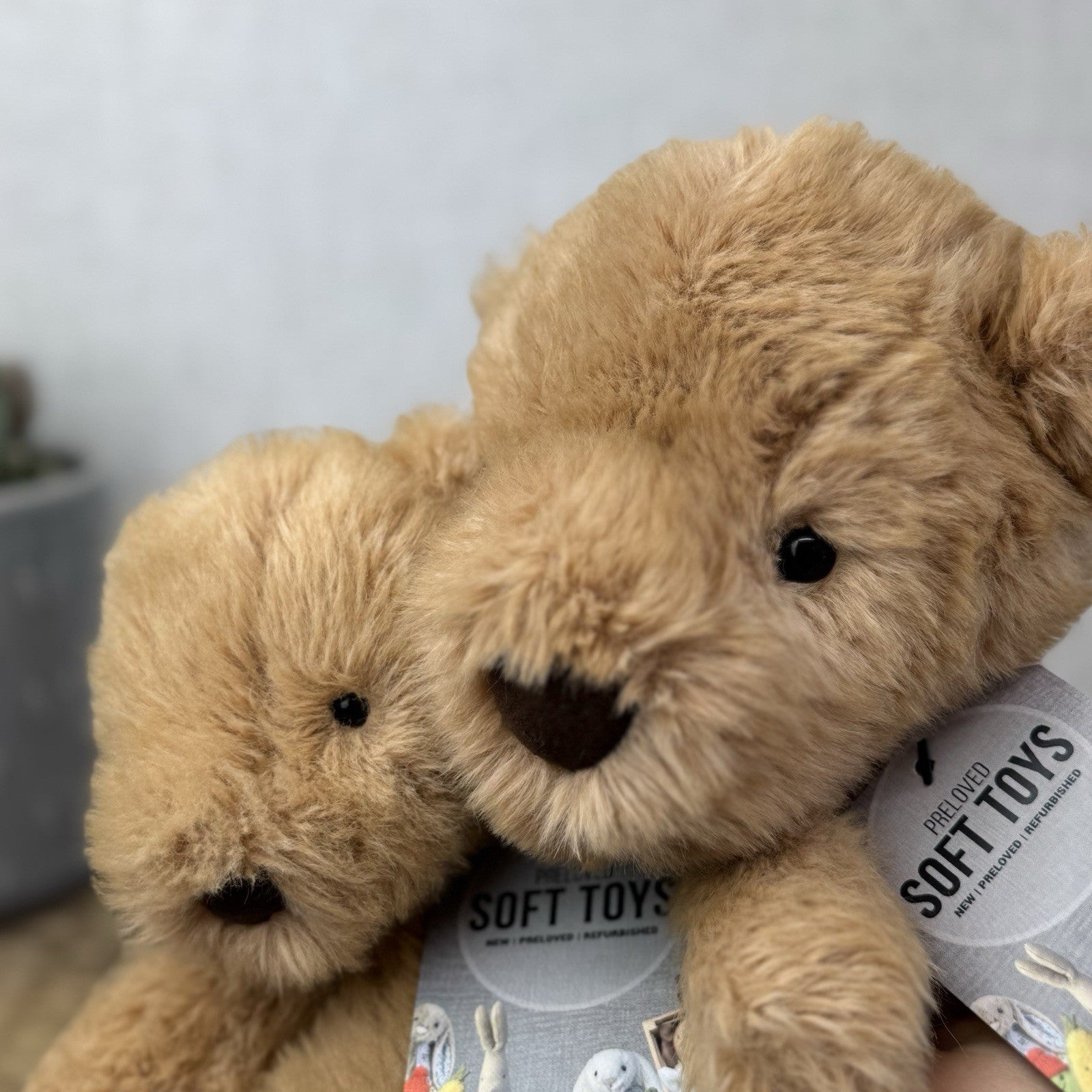 Jellycat Small Benjamin Bear - Maple Colour Small Beanie Bear Plush NWOT 10"