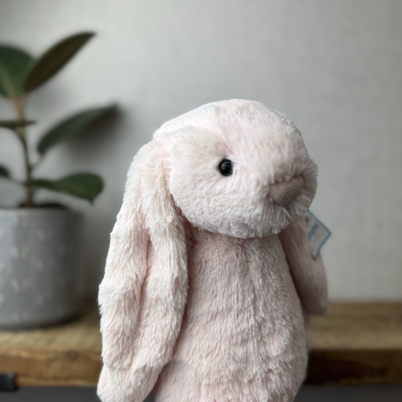 Jellycat Medium Bashful Light Baby Pink Bunny - Baby Pink Bunny Soft Toy 12” NWT