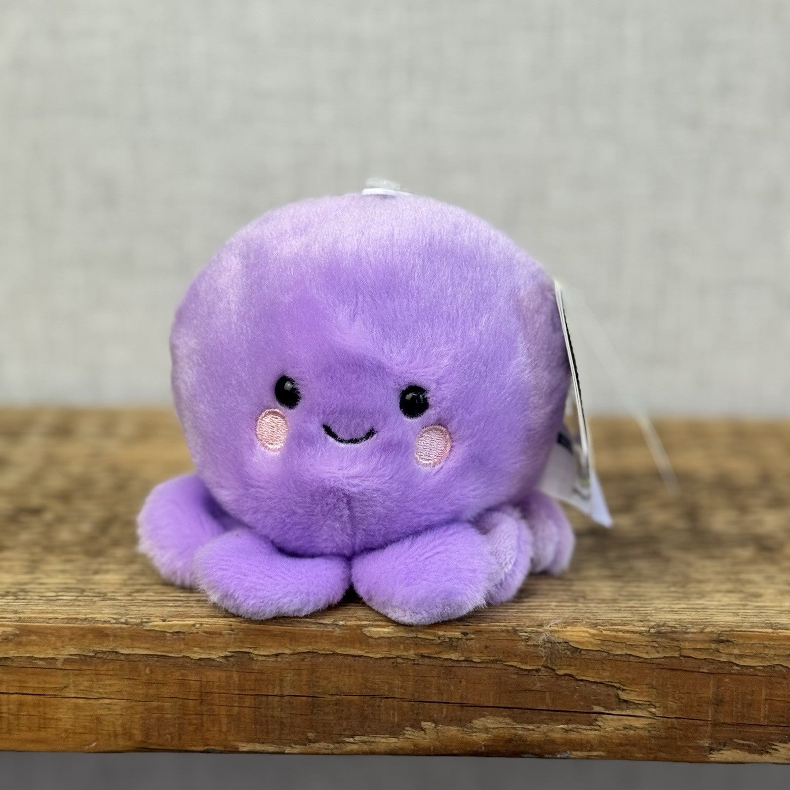 Aurora - Palm Pals Mini Beanbag Plush Purple Oliver Octopus BNWT 5"