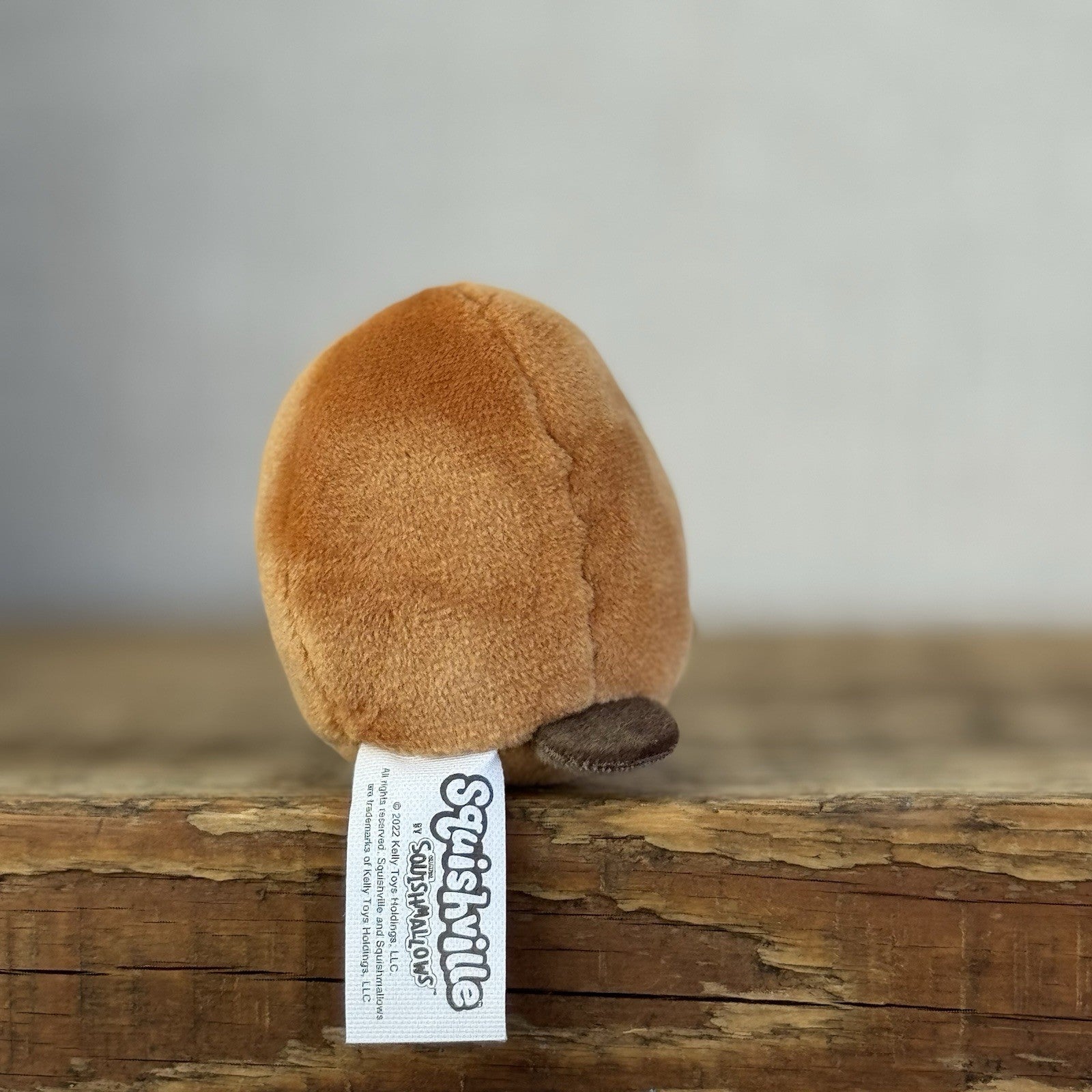 Squishmallow Squishville - Santino Platypus - Brown Platypus Sea Creature 2”